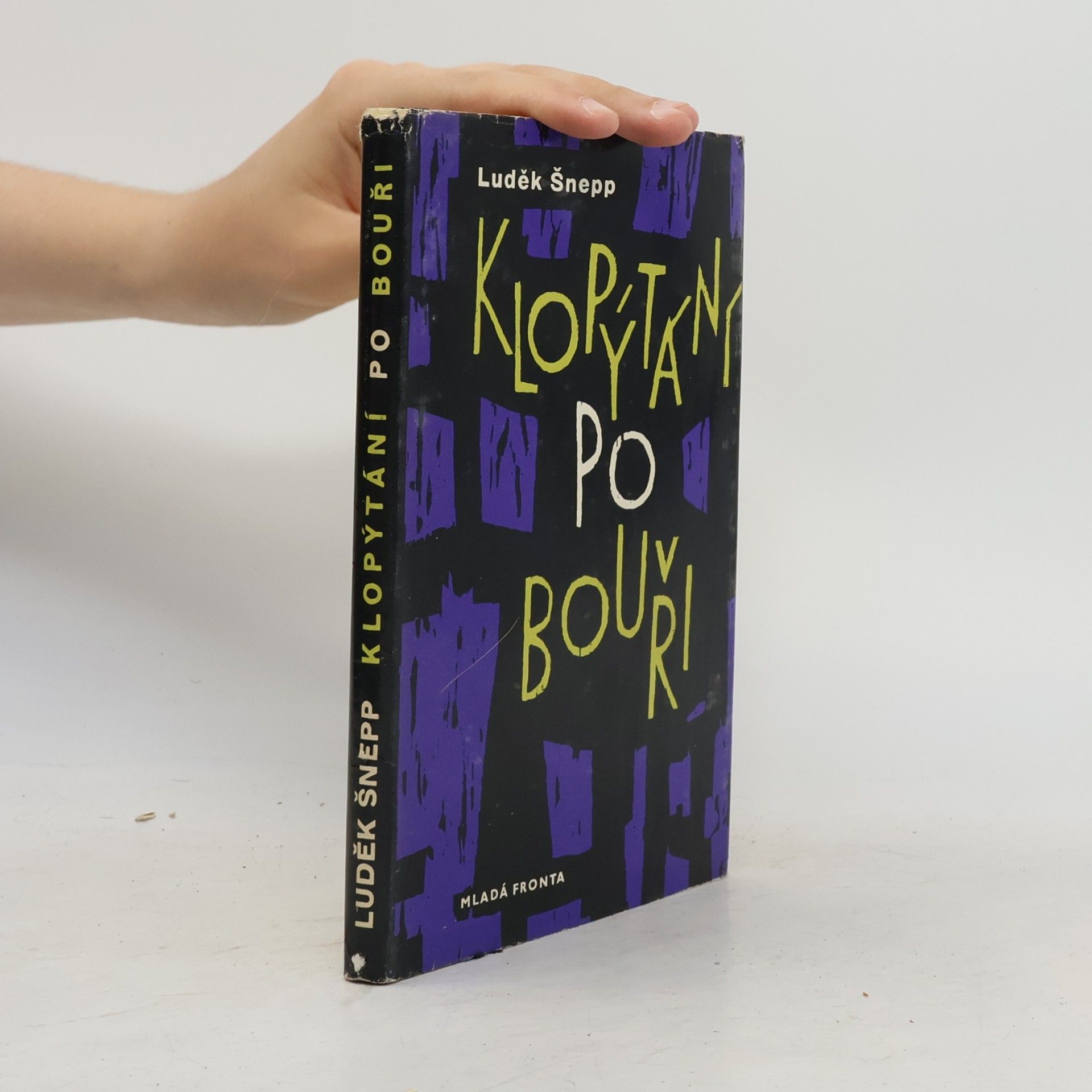 Luděk Šnepp Klopýtání po bouři