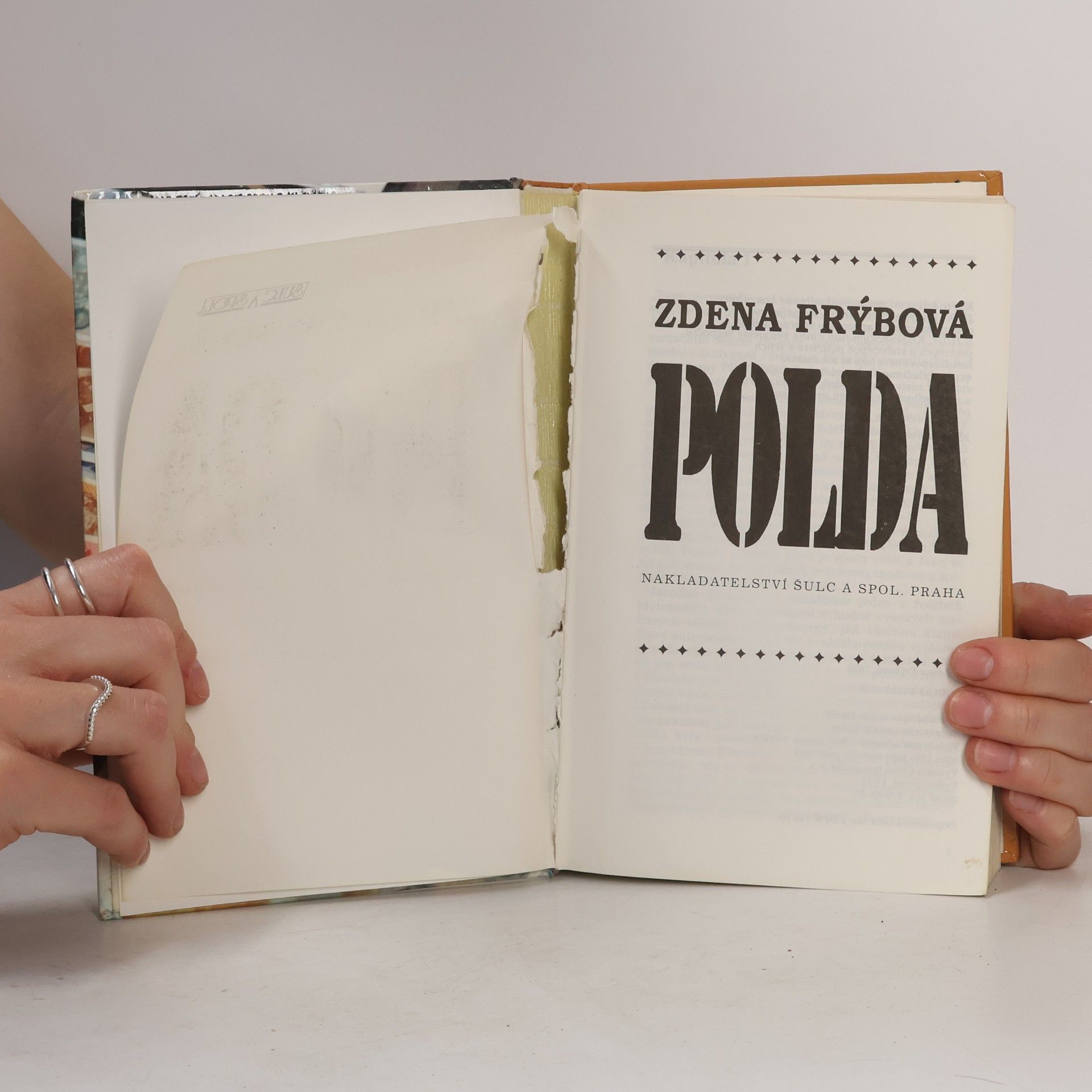Zdena Frýbová Polda