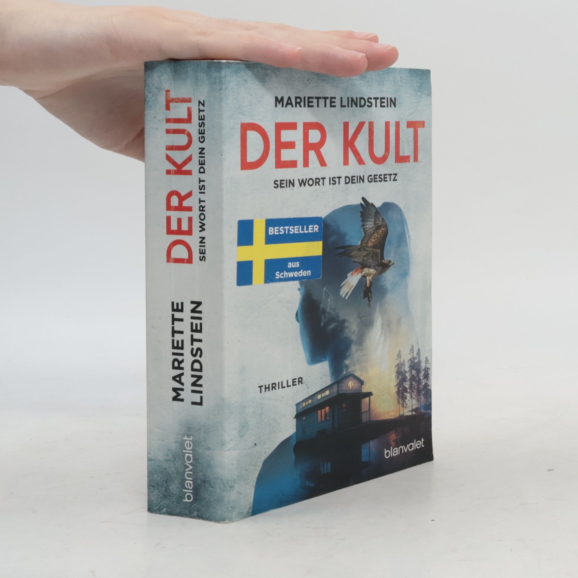 Mariette Lindstein Der Kult - Sein Wort ist dein Gesetz