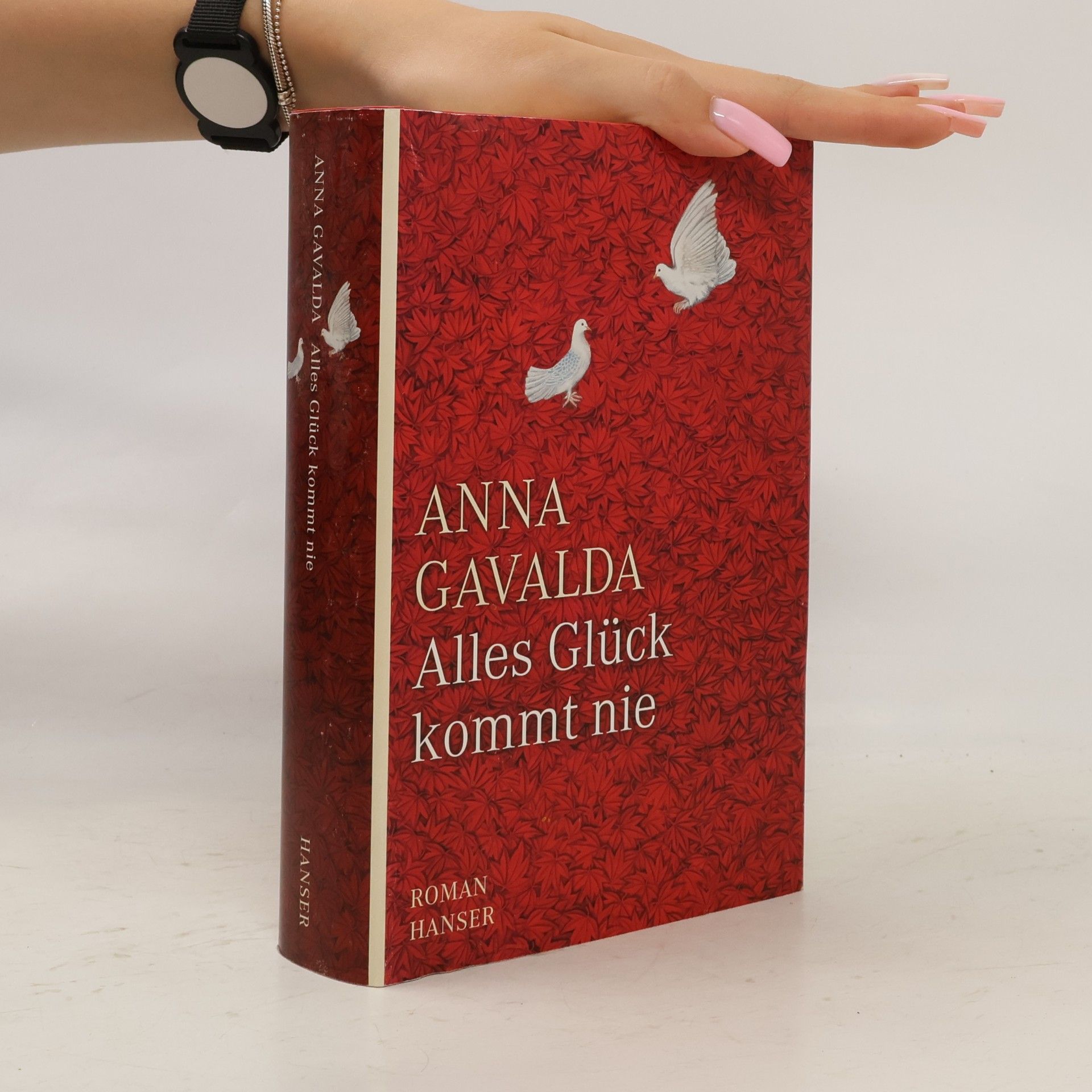 Anna Gavalda Alles Glück kommt nie