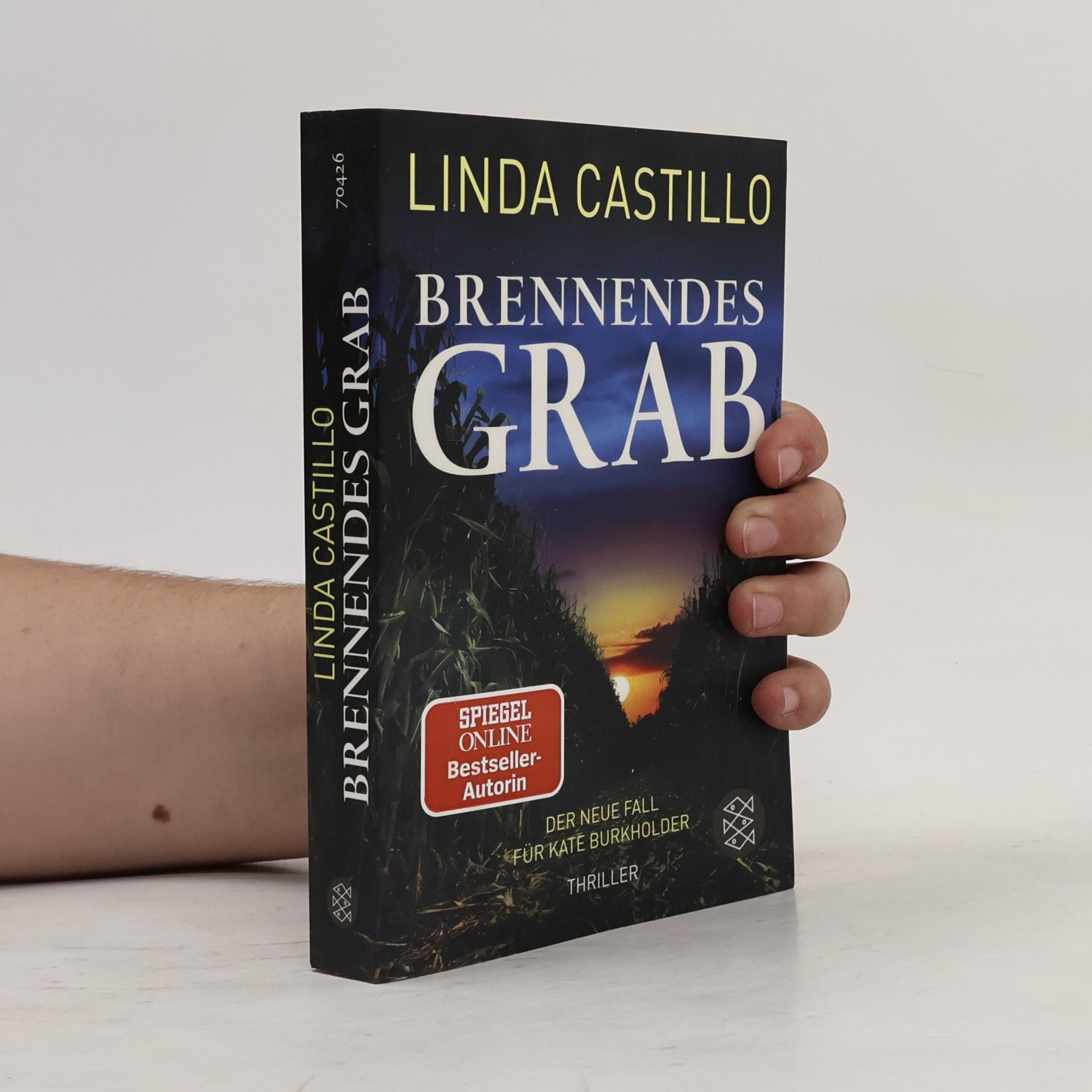 Linda Castillo Brennendes Grab