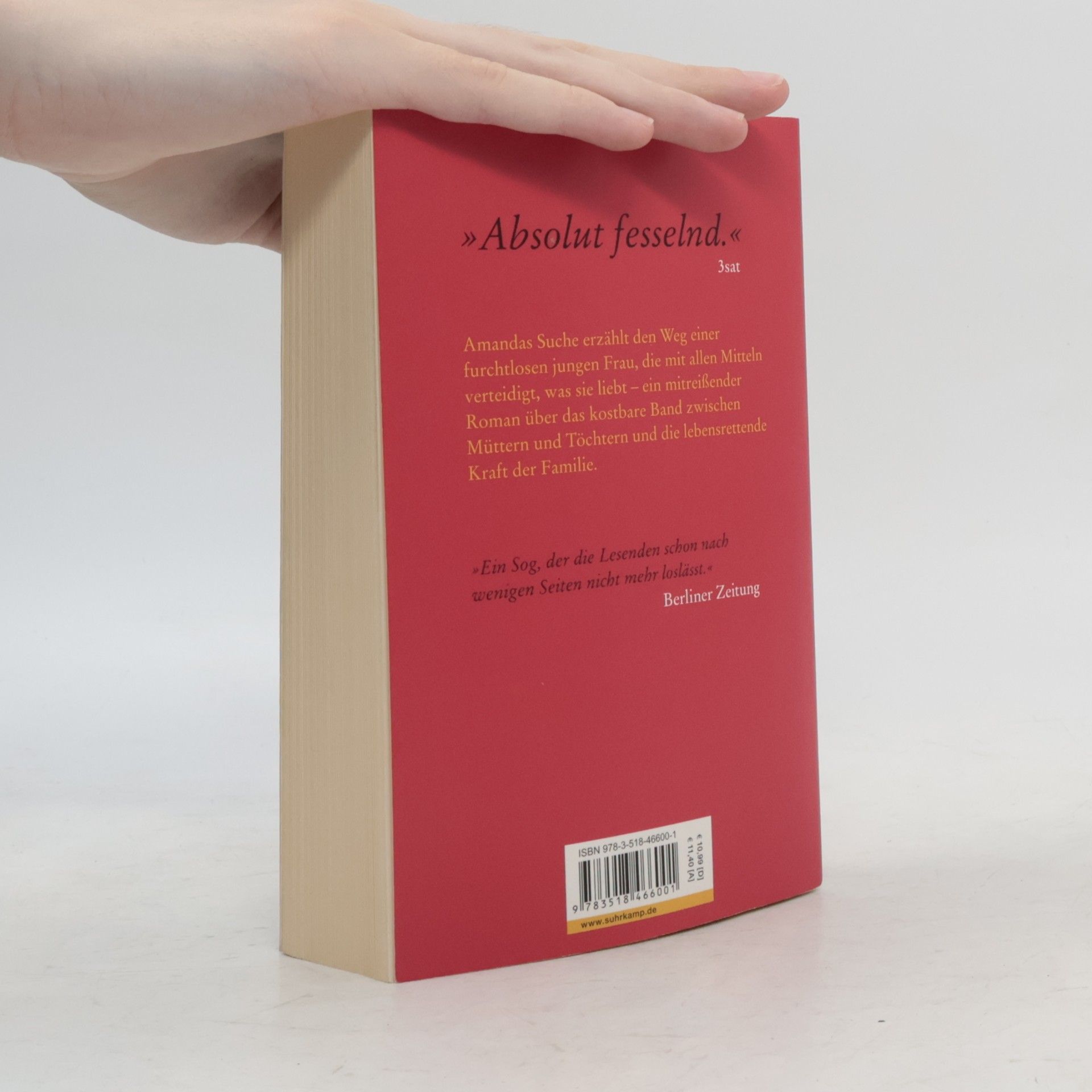 Isabel Allende Amandas Suche
