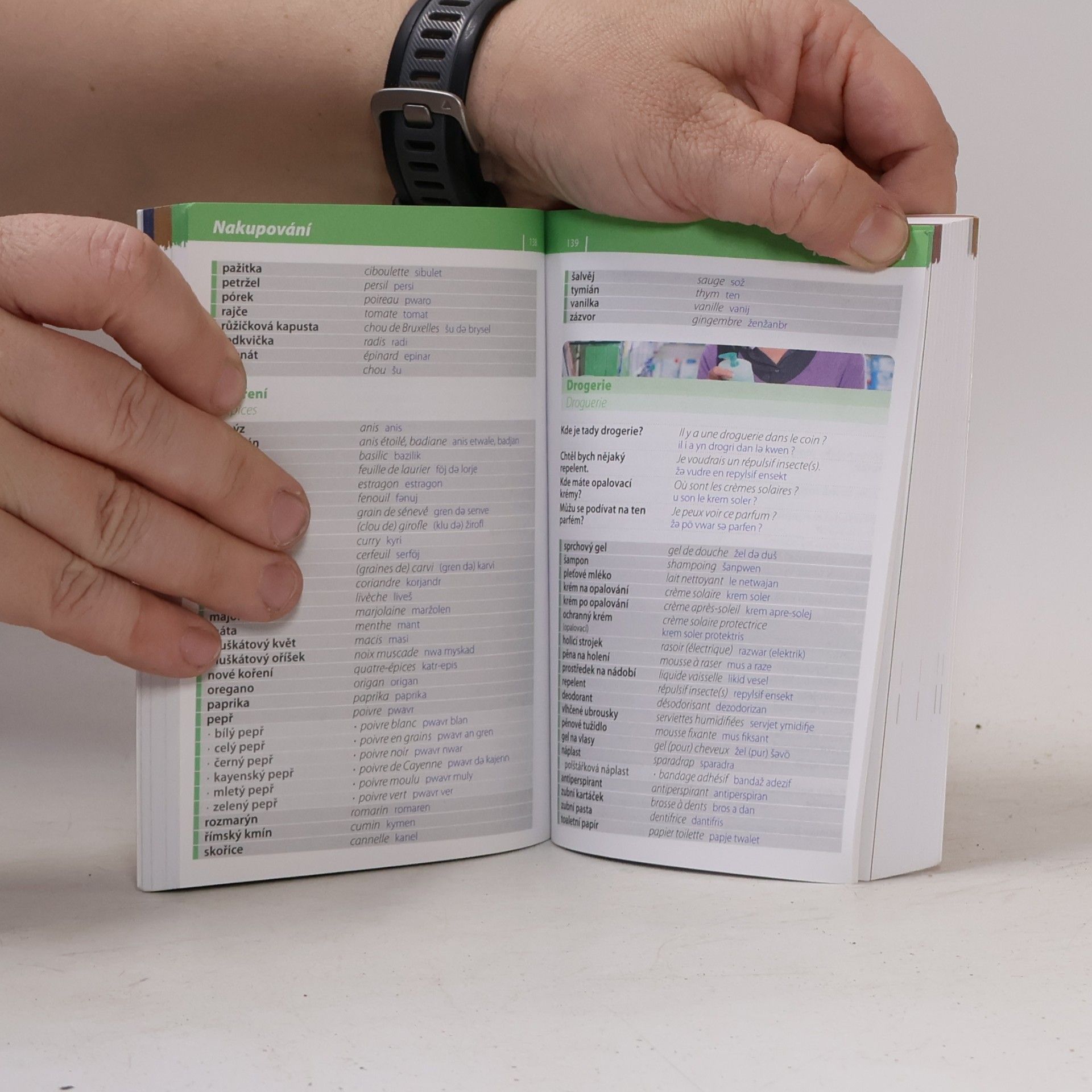 Autorenkollektiv Francouzština: Konverzace: Se slovníkem a gramatikou