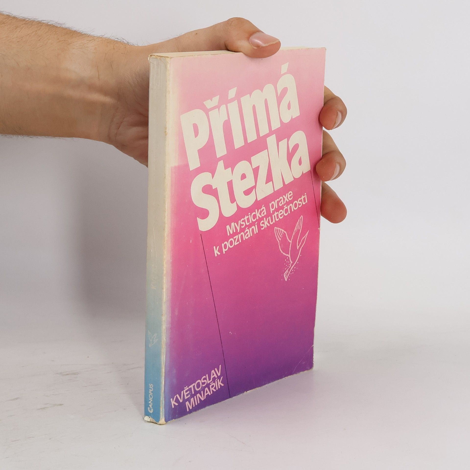 Květoslav Minařík Přímá stezka