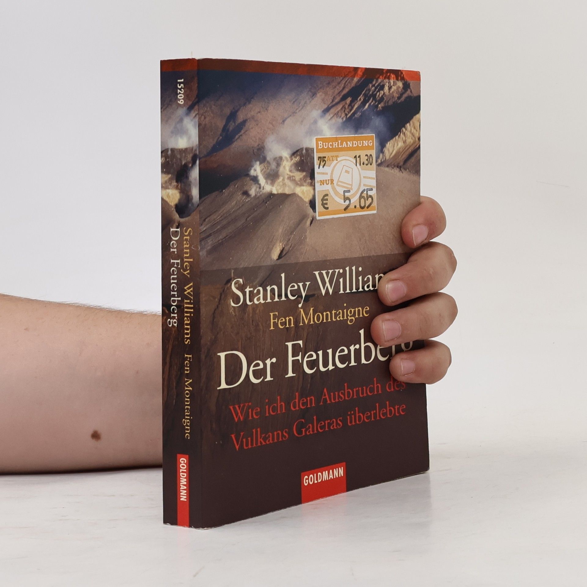Stanley Williams Der Feuerberg