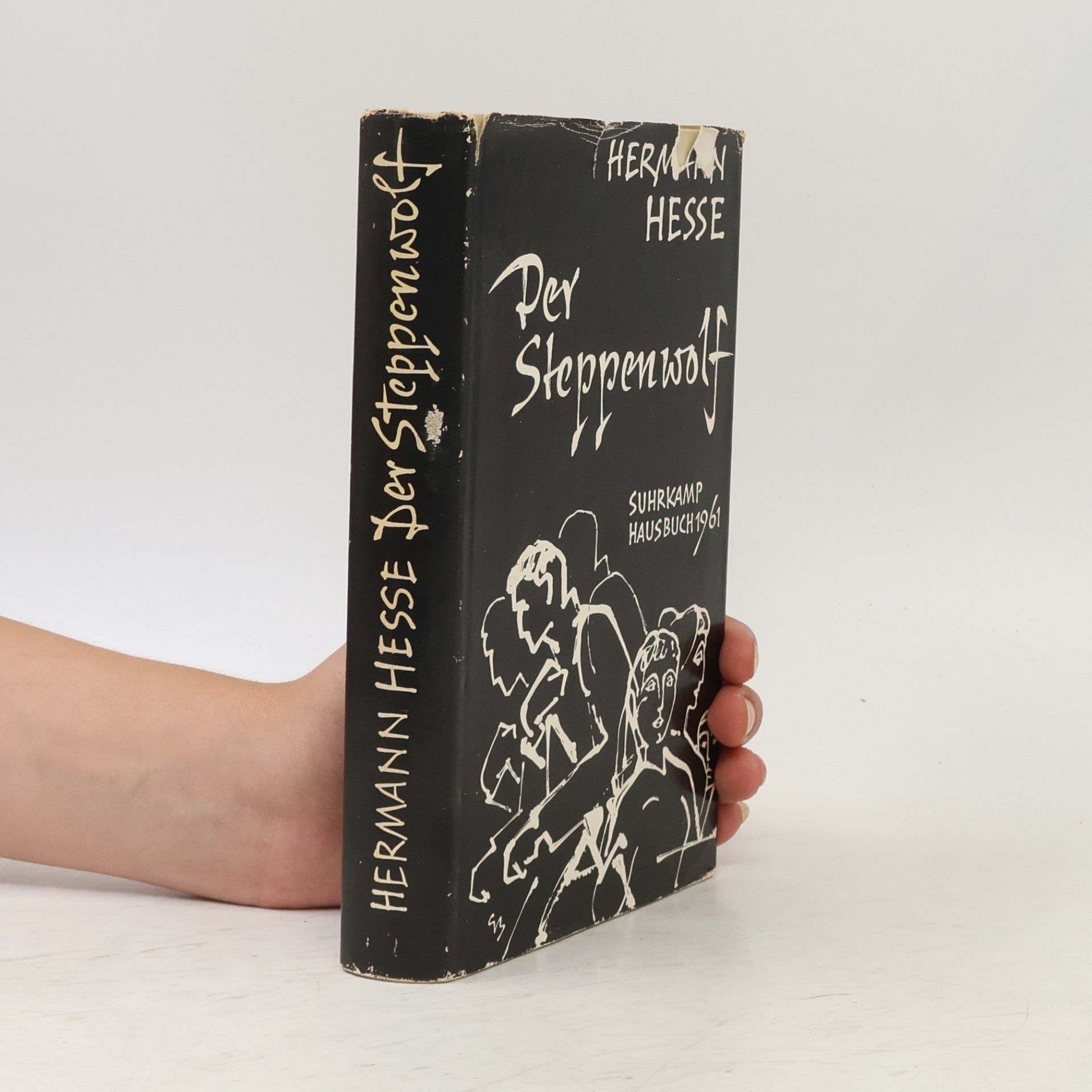 Hermann Hesse Der Steppenwolf