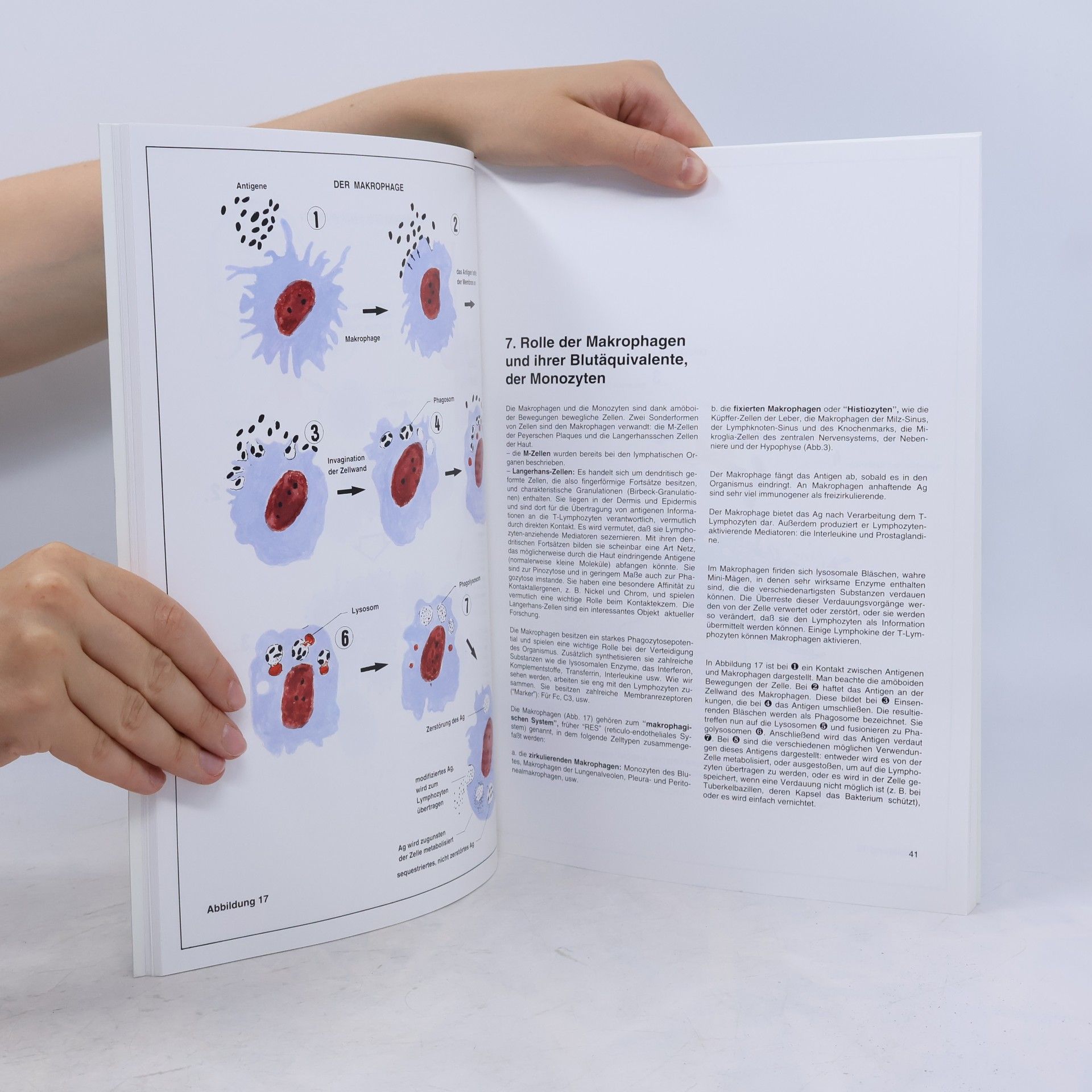 Jacques Centner Atlas der Immuno-Allergologie