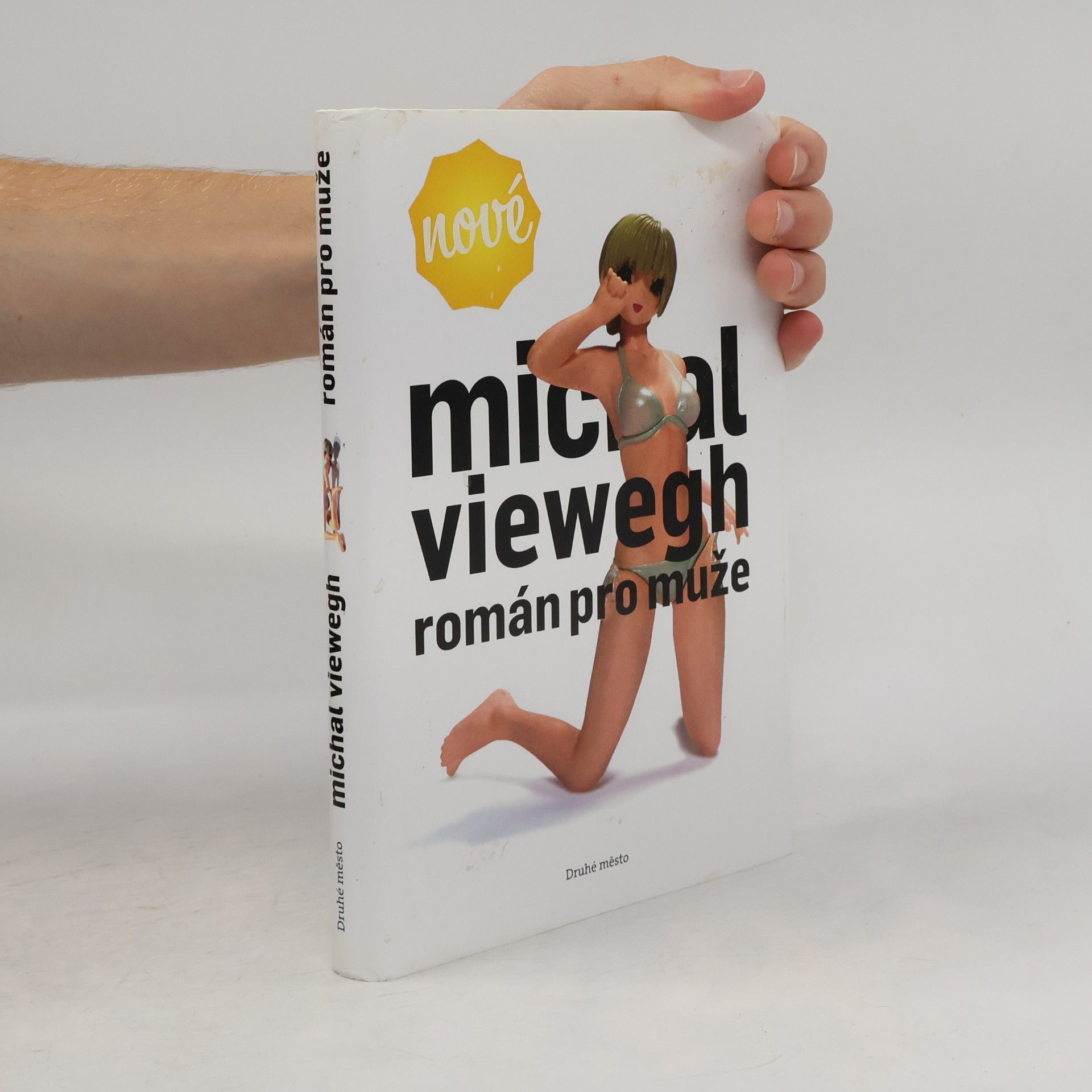 Michal Viewegh Román pro muže