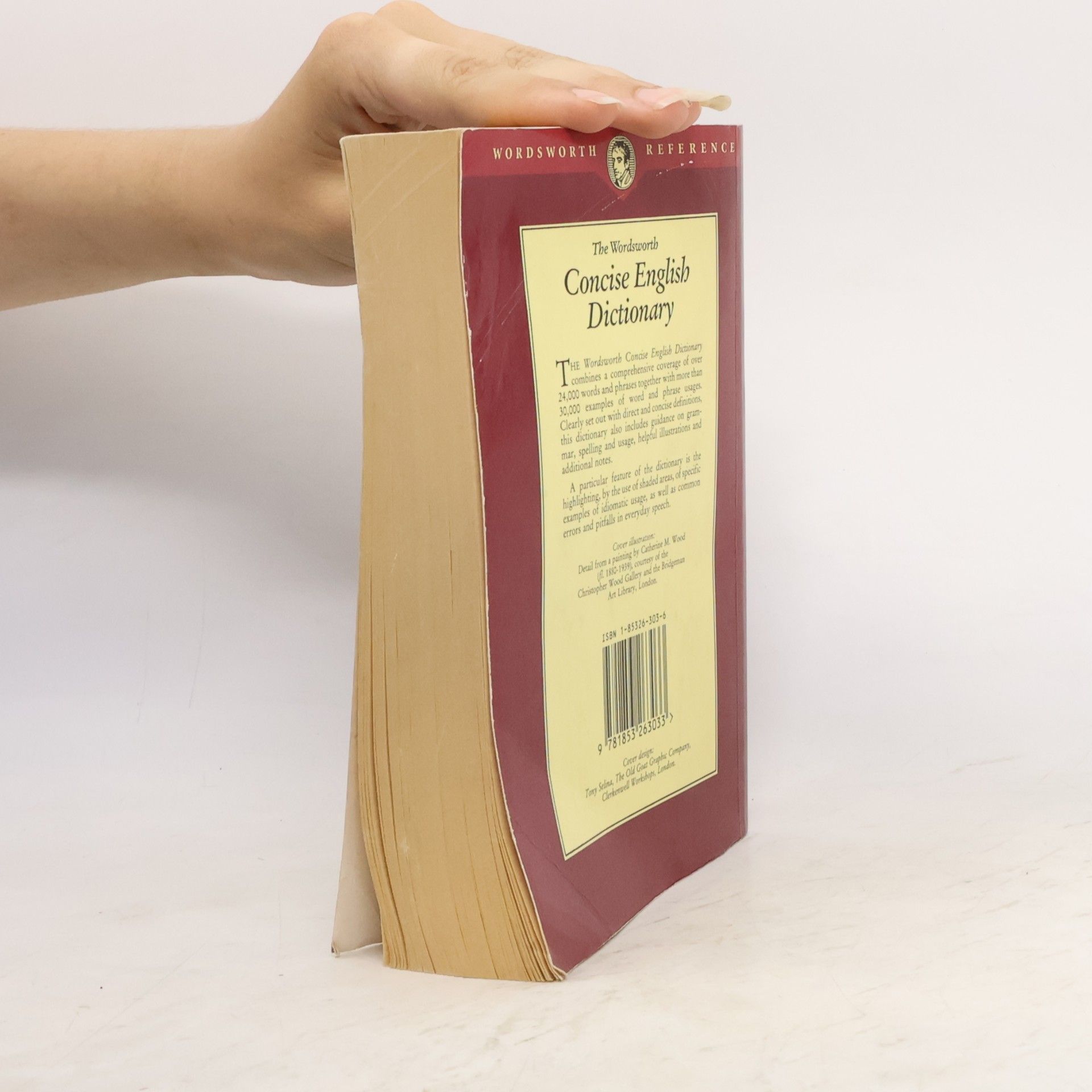 Autorenkollektiv The Wordsworth Concise English Dictionary