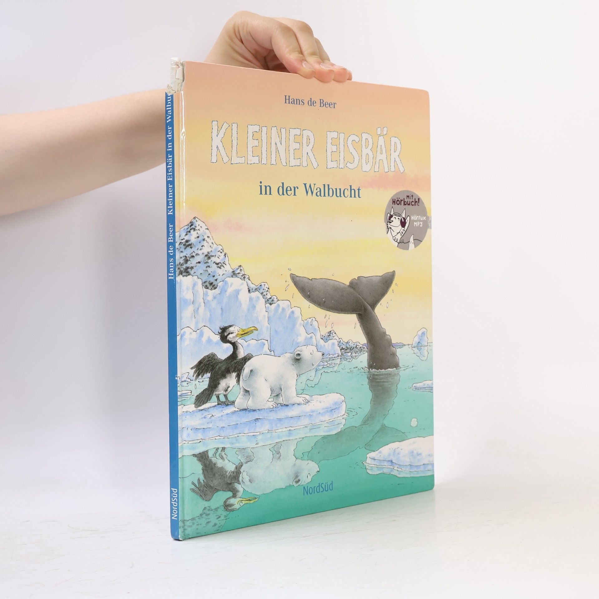 Hans de Beer Kleiner Eisbär in der Walbucht