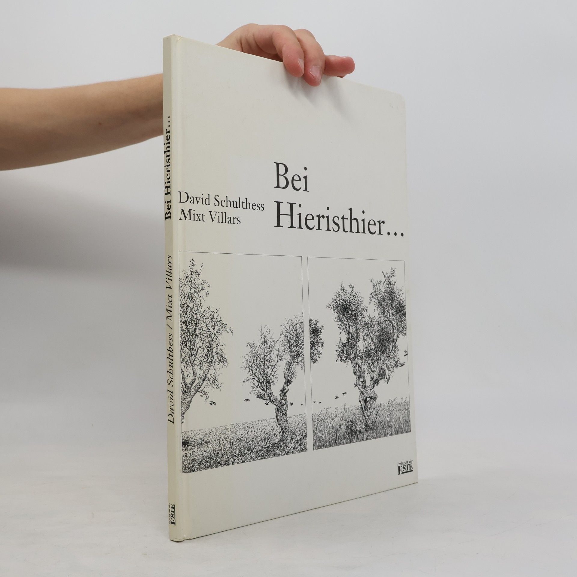 David Schulthess Bei Hieristhier