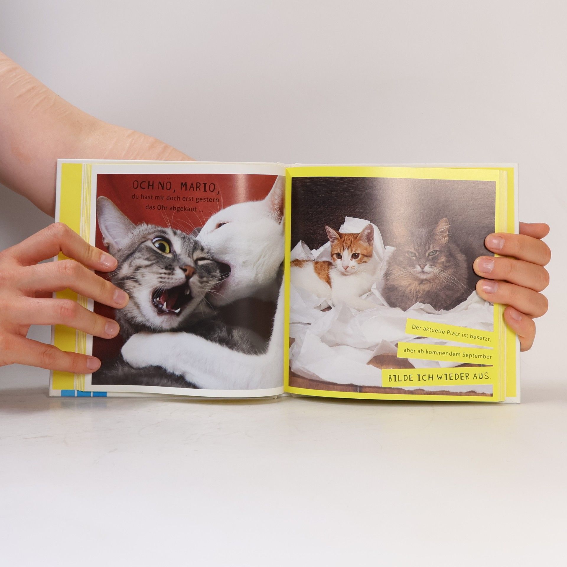 Malcolm Katz Meine Katze ist ein Arschloch - deine auch?