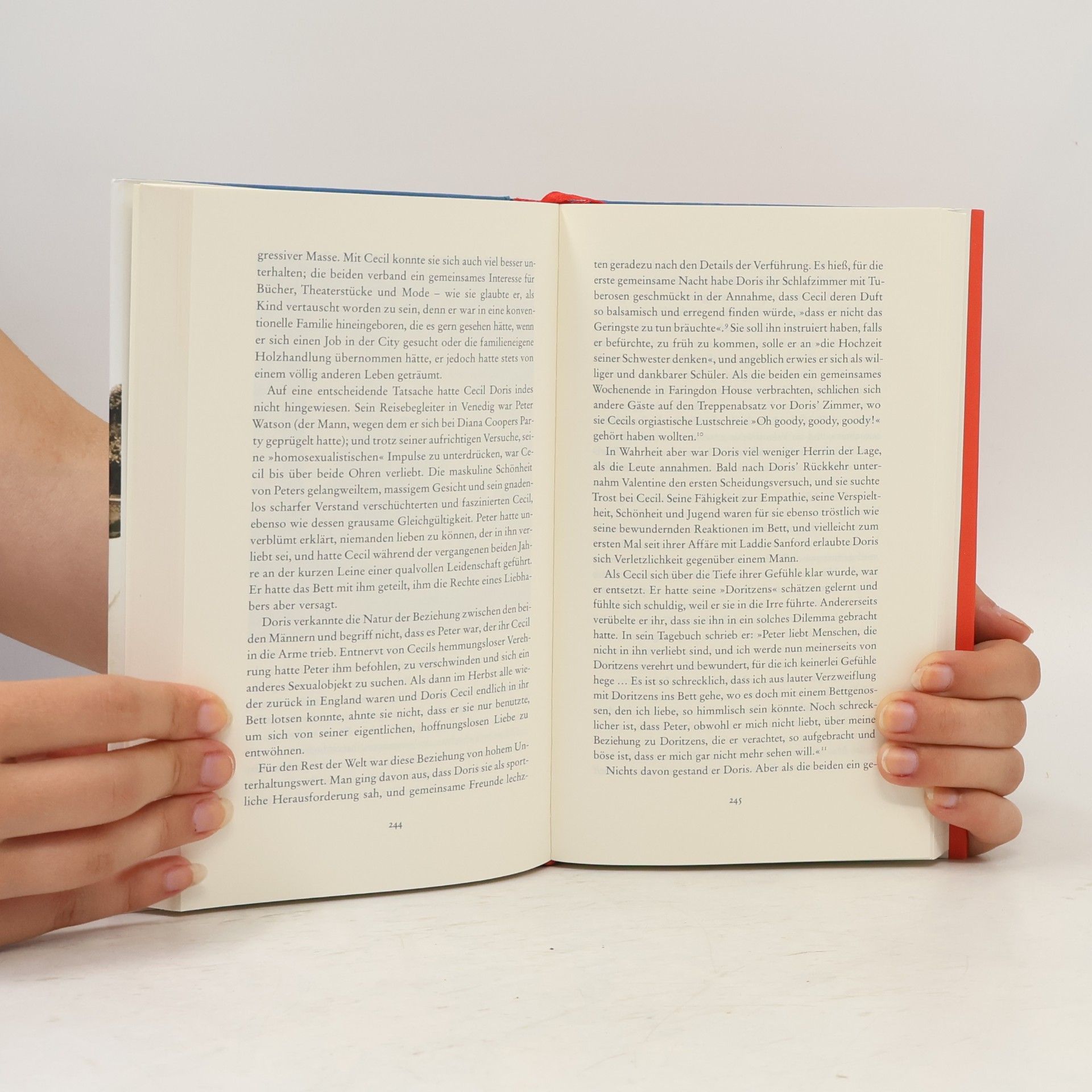 Judith Mackrell Der unvollendete Palazzo