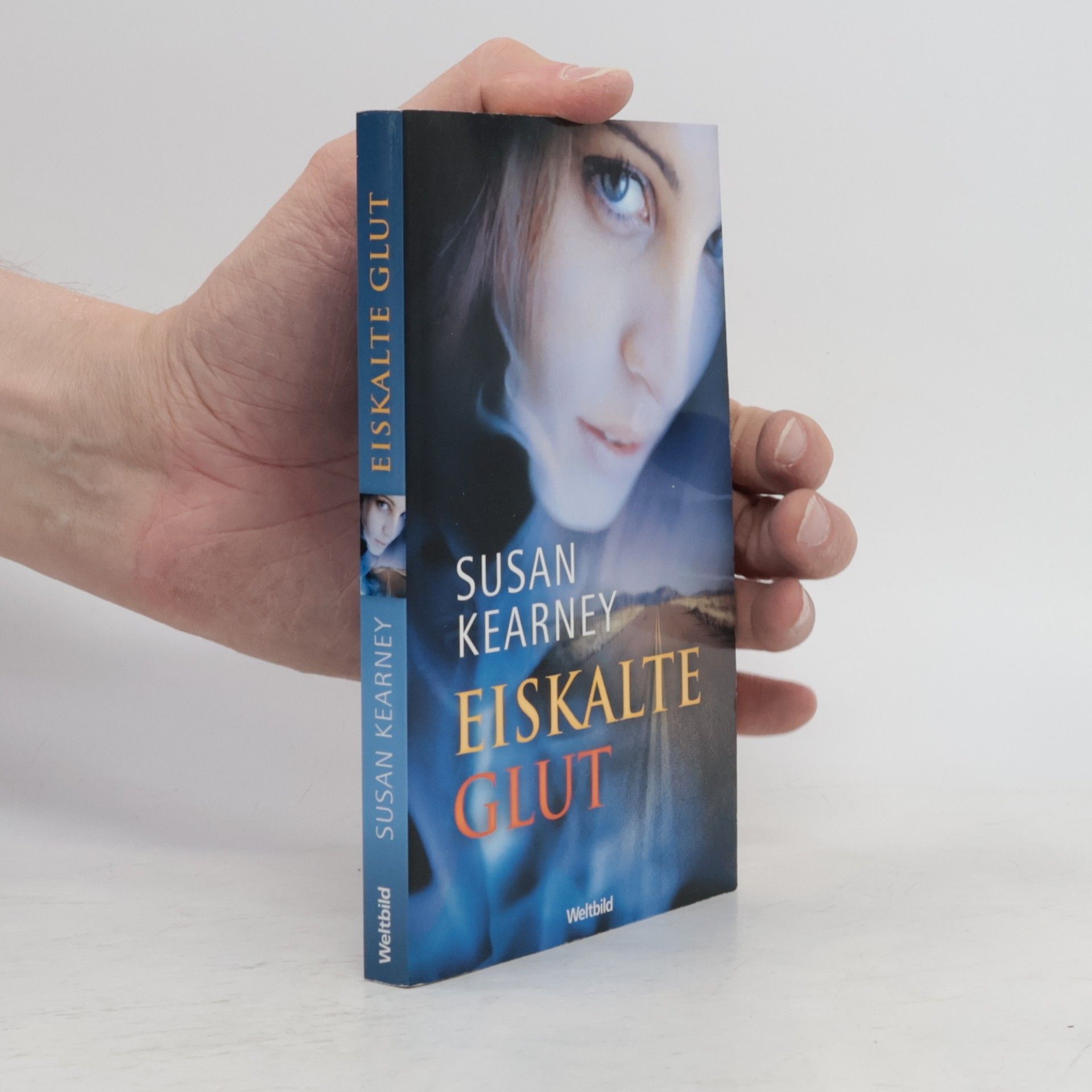 Susan Kearney Eiskalte Glut
