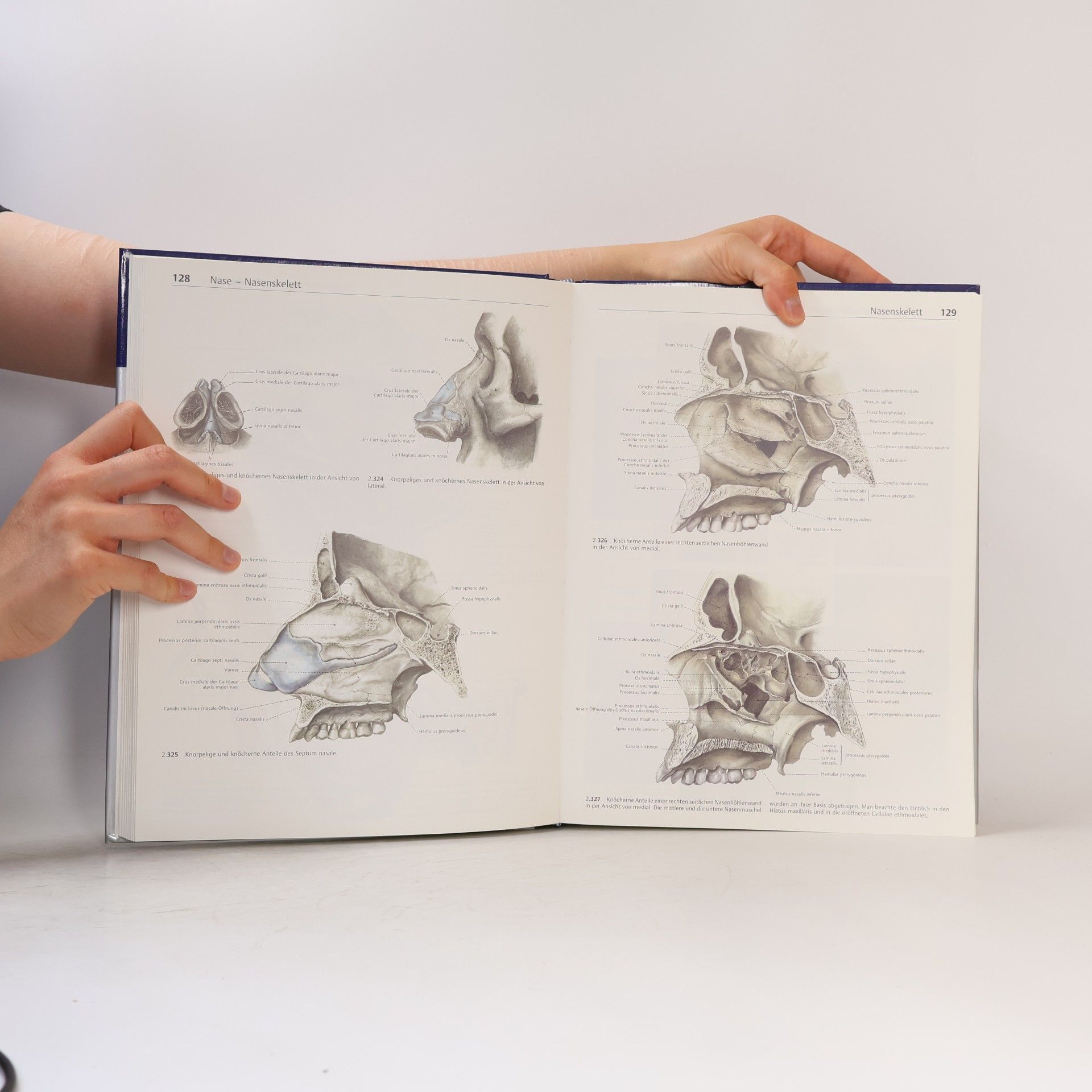 Bernhard Tillmann Farbatlas der Anatomie