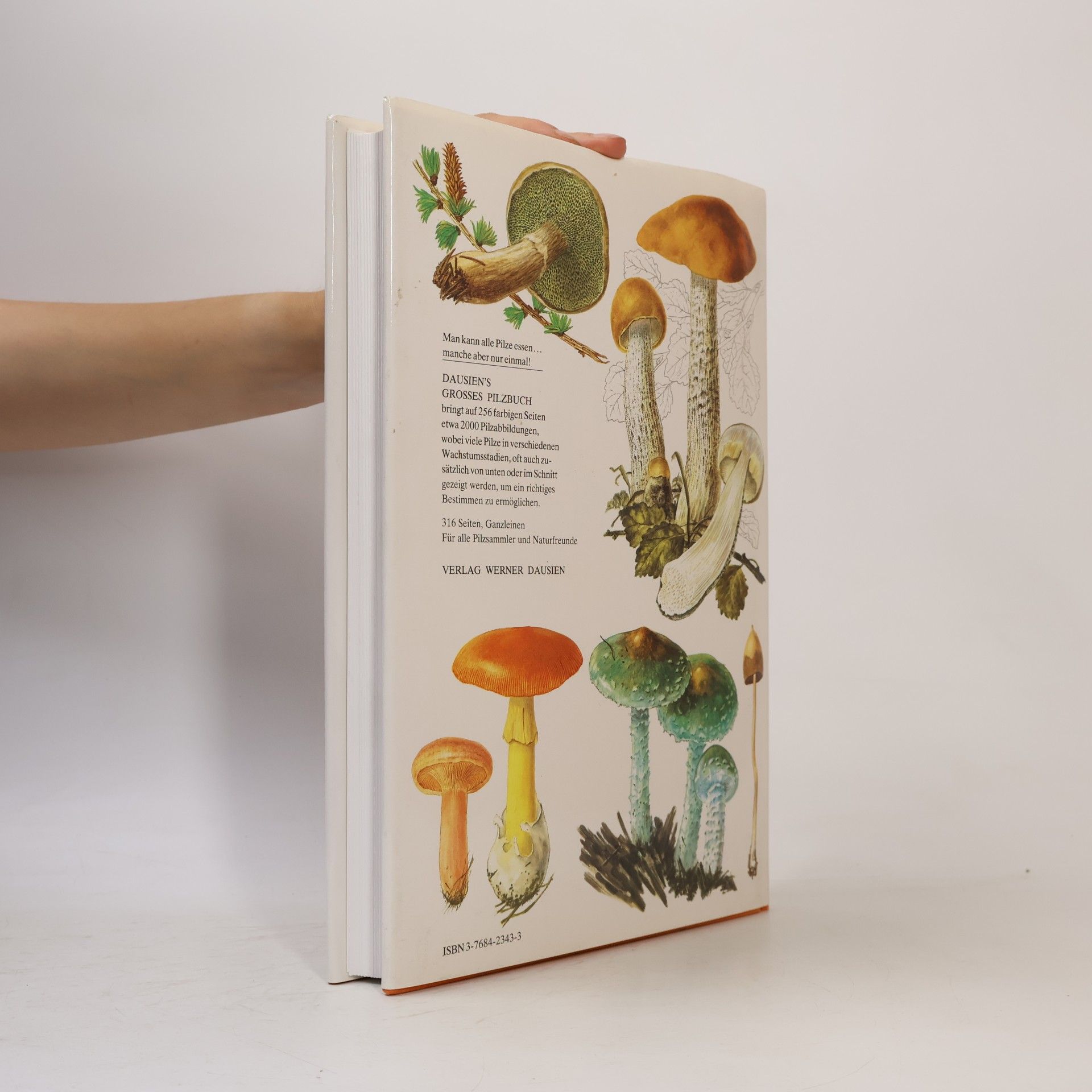Mirko Svrček Dausien's grosses Pilzbuch in Farbe