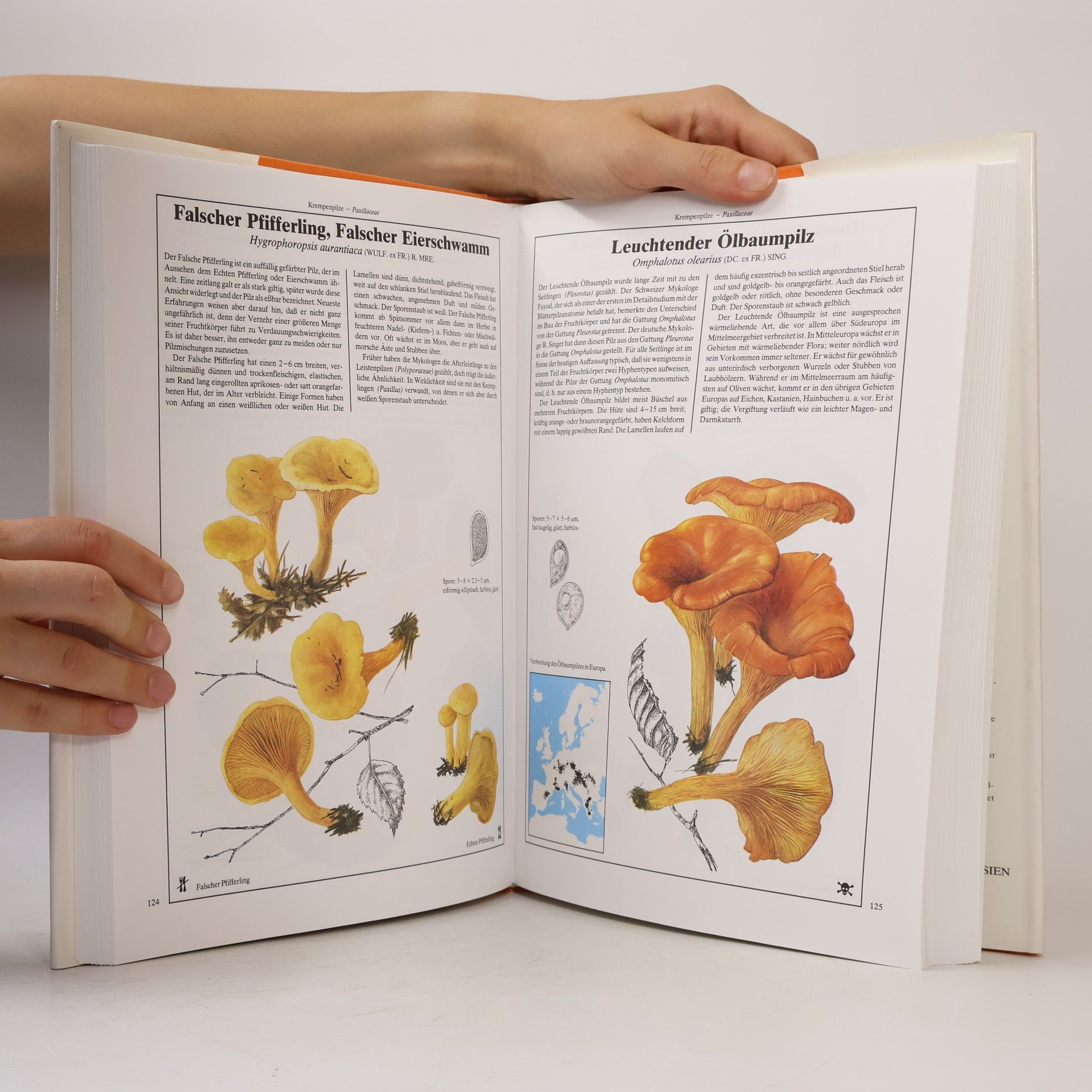 Mirko Svrček Dausien's grosses Pilzbuch in Farbe