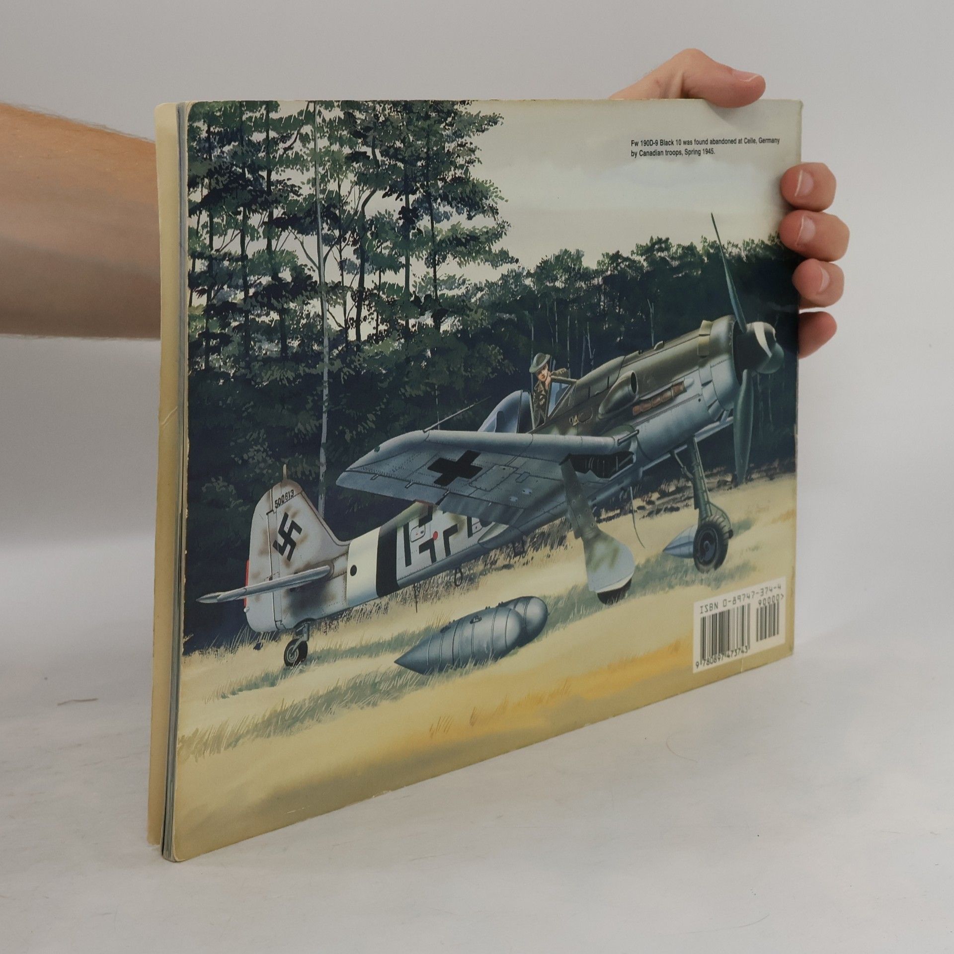 Don Greer FW 190D - Walk Around No. 10