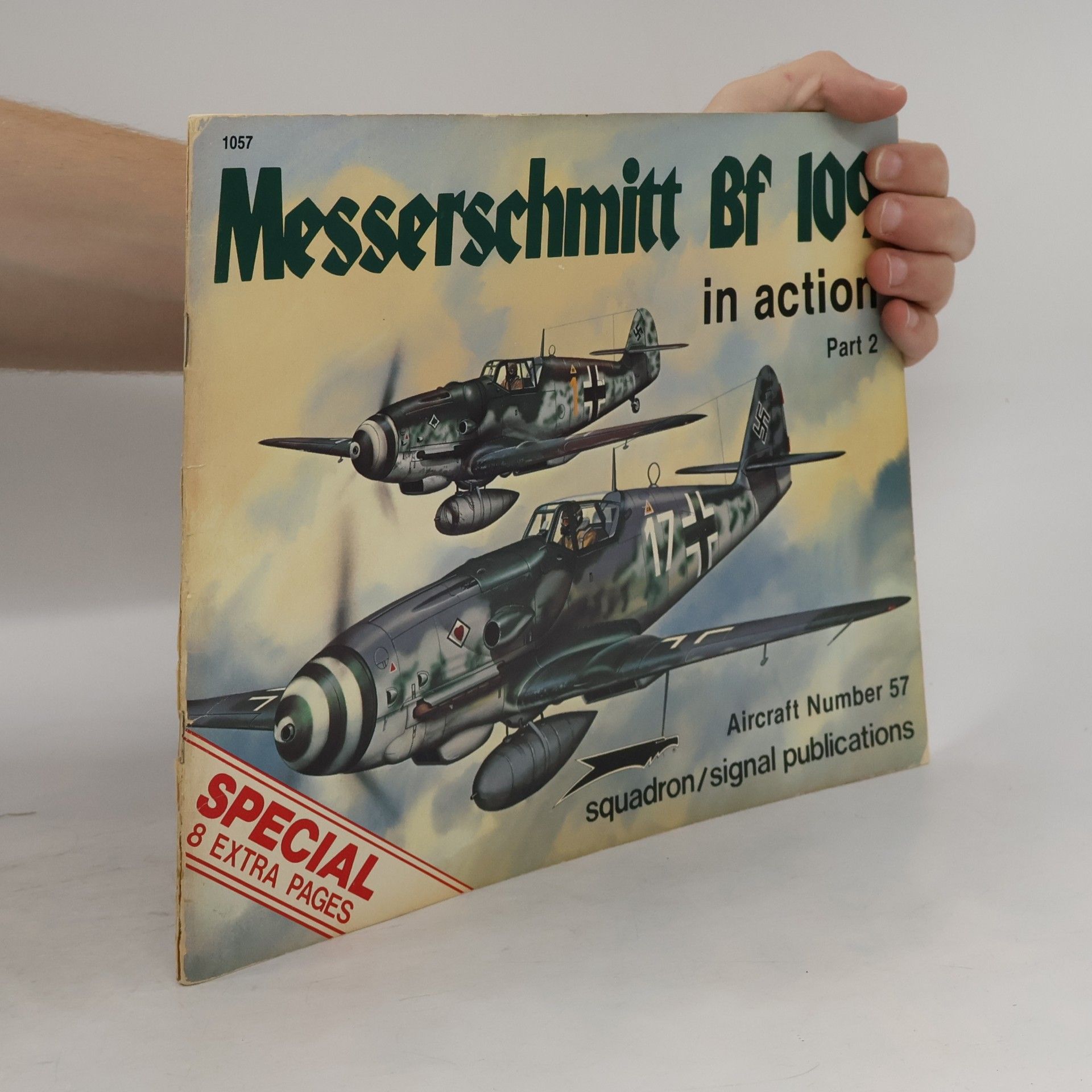 Messerschmitt Bf 109 in Action