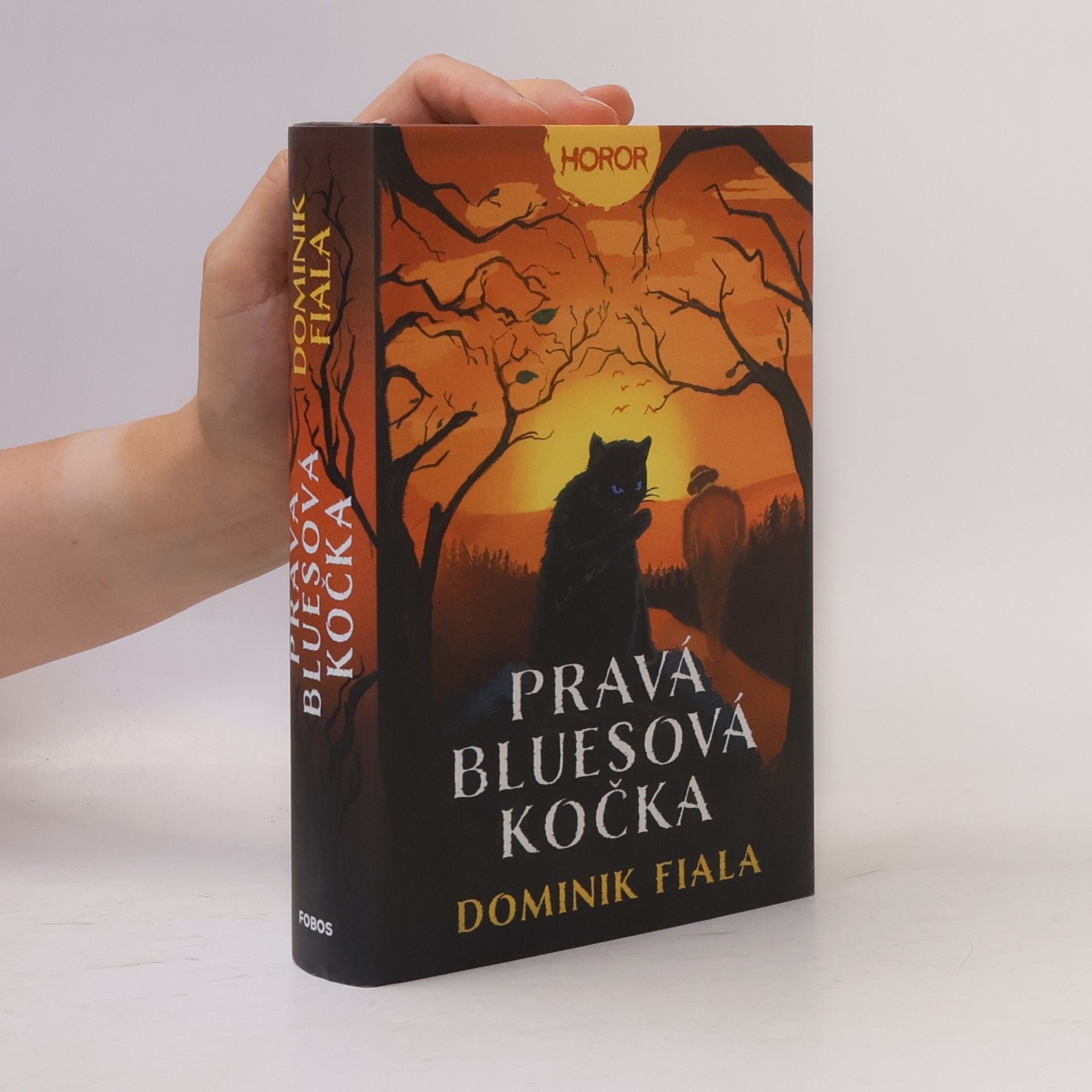Dominik Fiala Pravá bluesová kočka