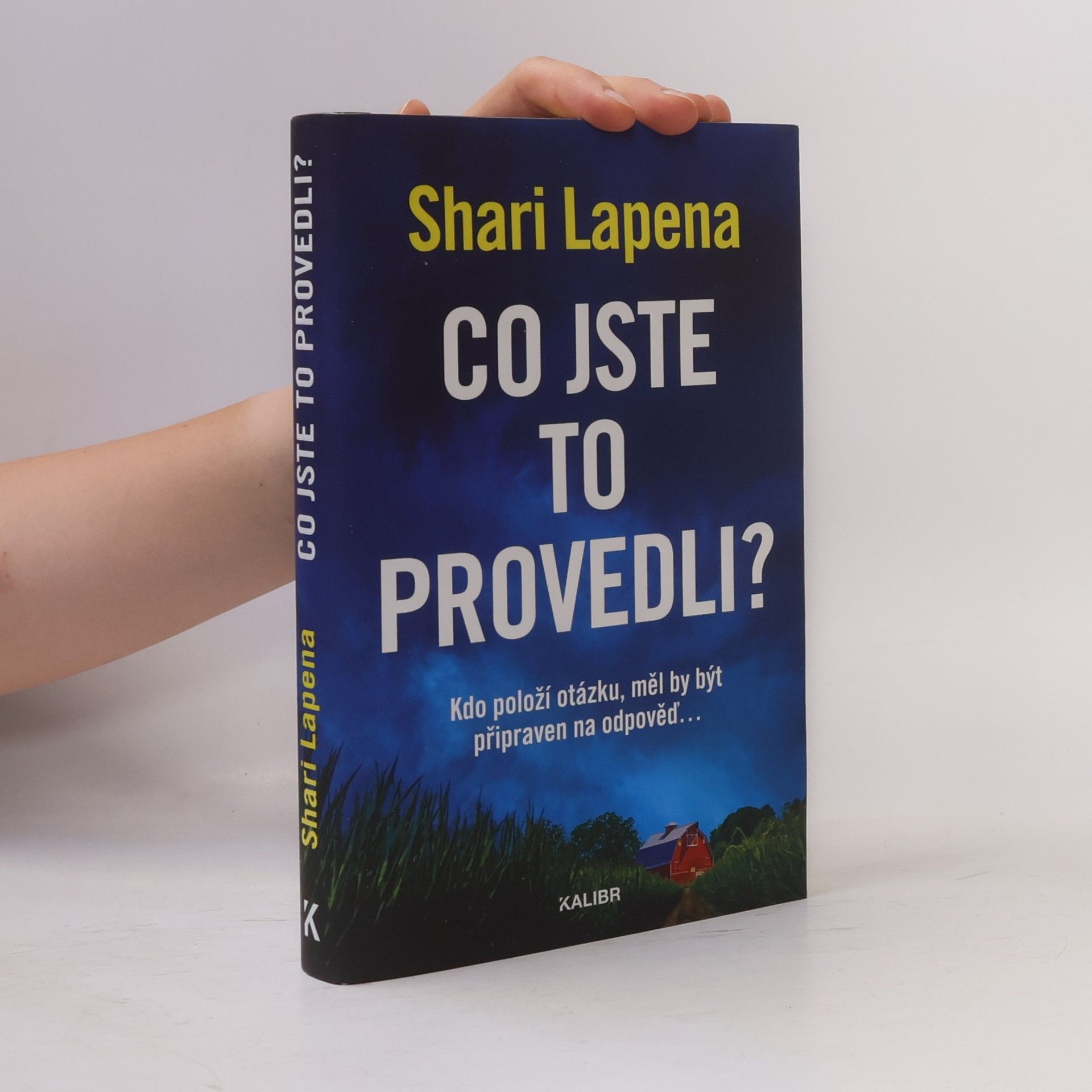 Shari Lapena Co jste to provedli?