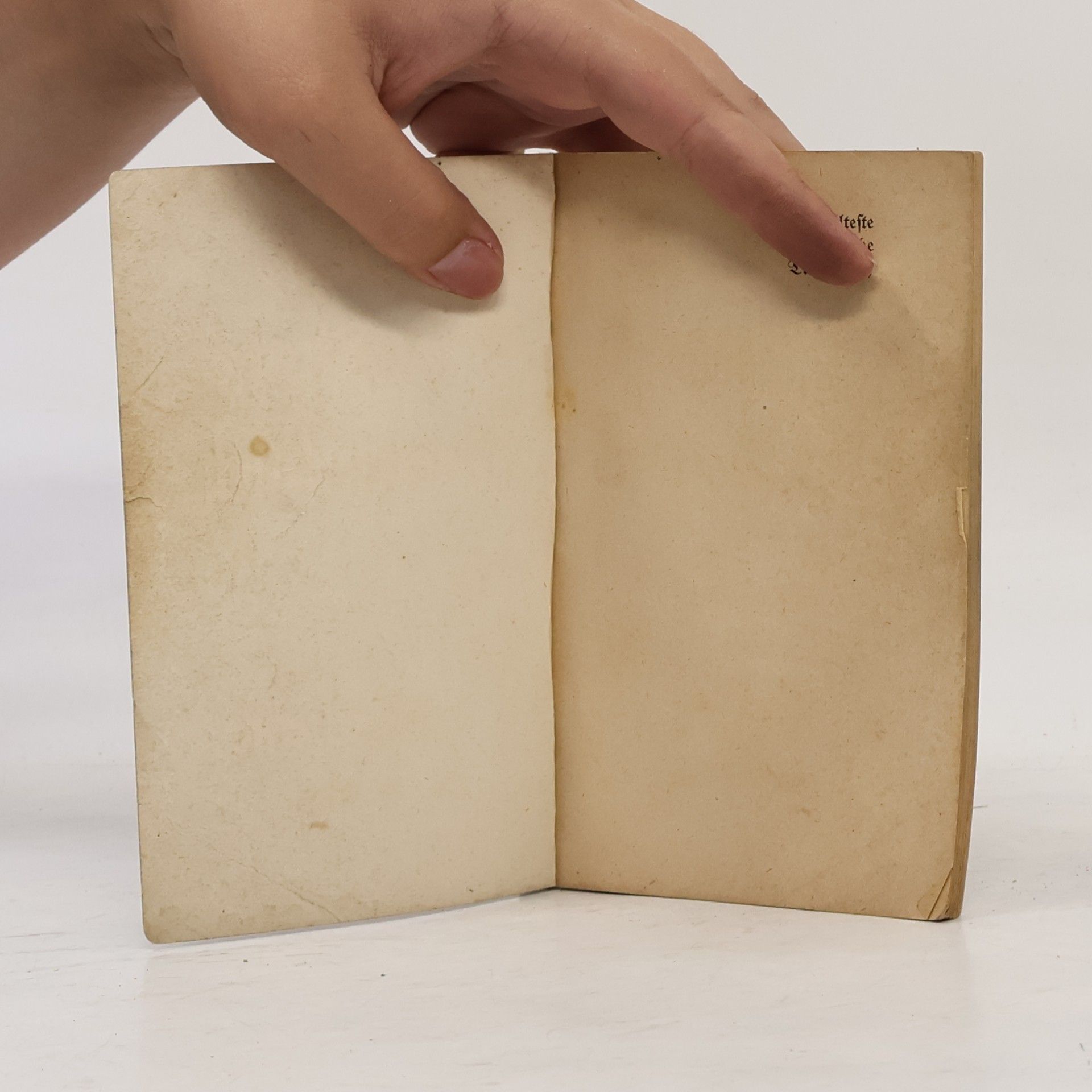 Sybilla M'hahalla Das älteste Ägyptische Traumbuch