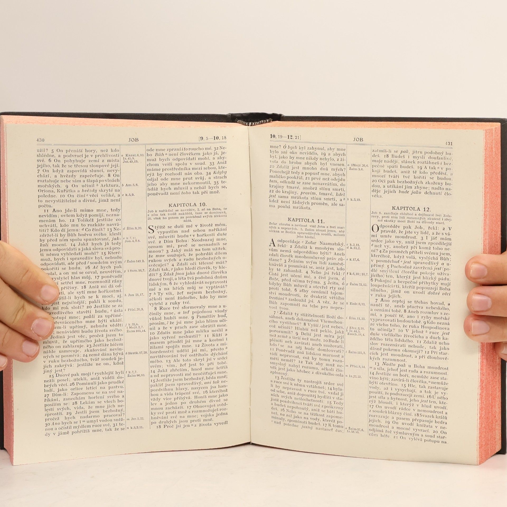 Autorenkollektiv Bíblí svatá aneb všecka svatá písma starého i nového zákona