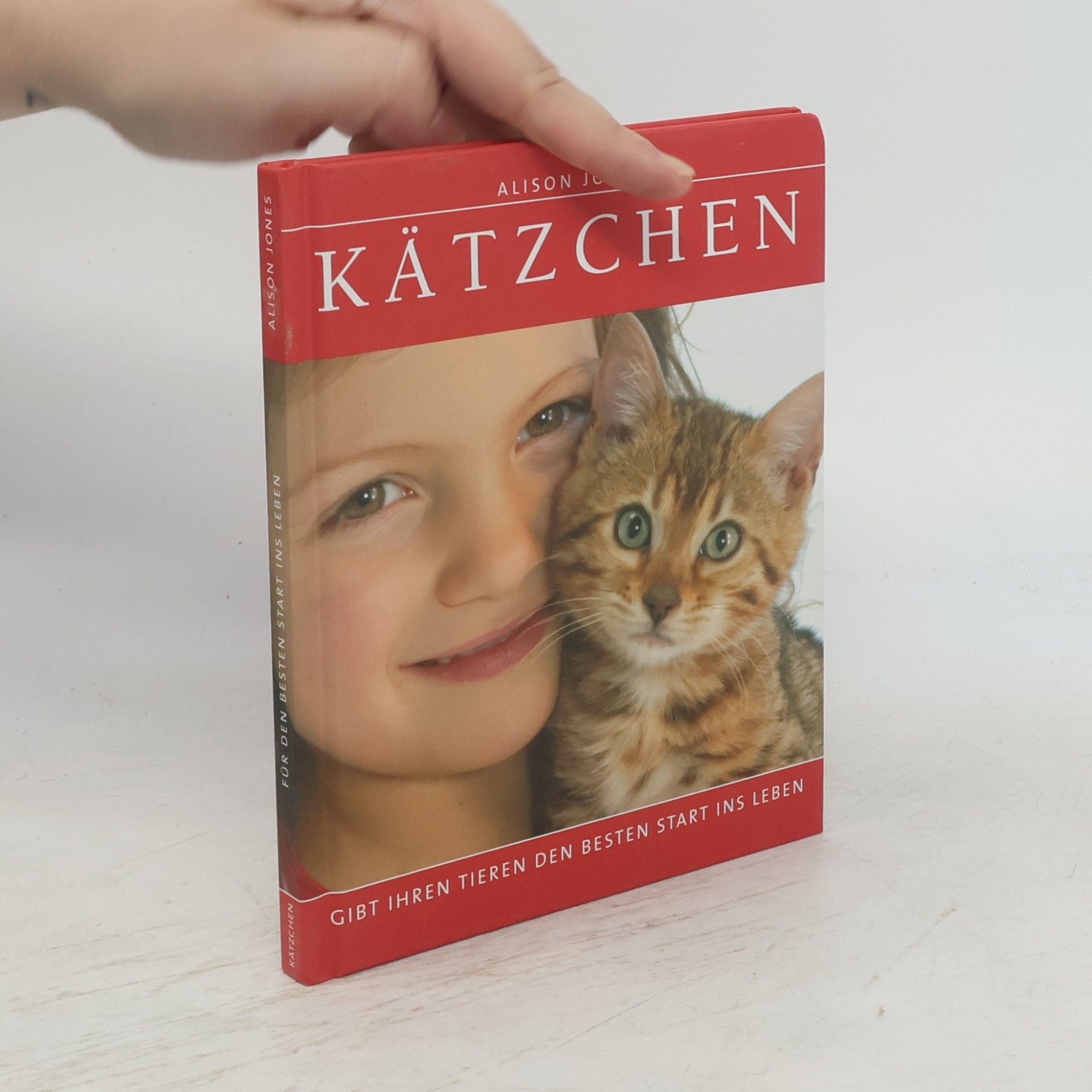 Kätzchen