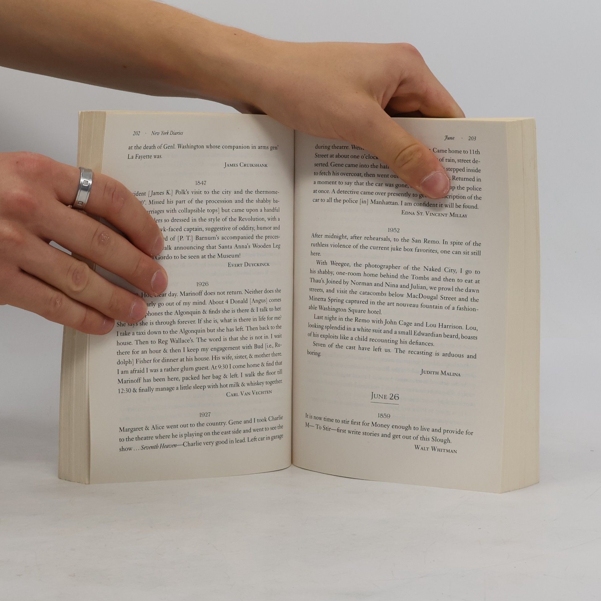 Teresa Carpenter New York Diaries: 1609 to 2009