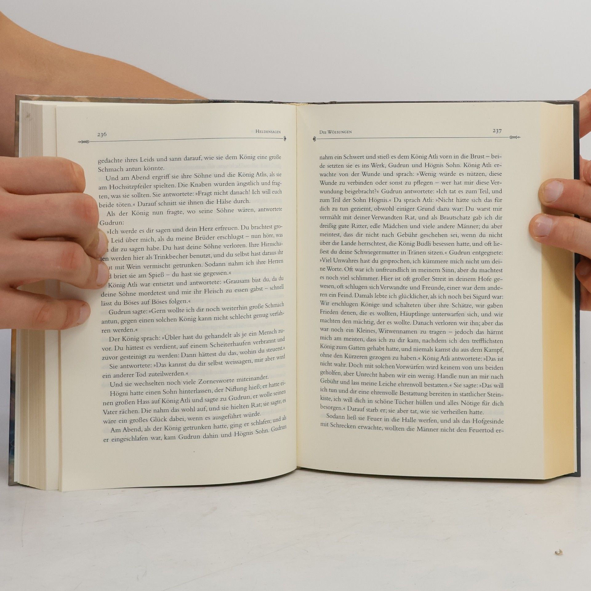 Erich Ackermann Das große Buch der nordischen Götter- und Heldensagen