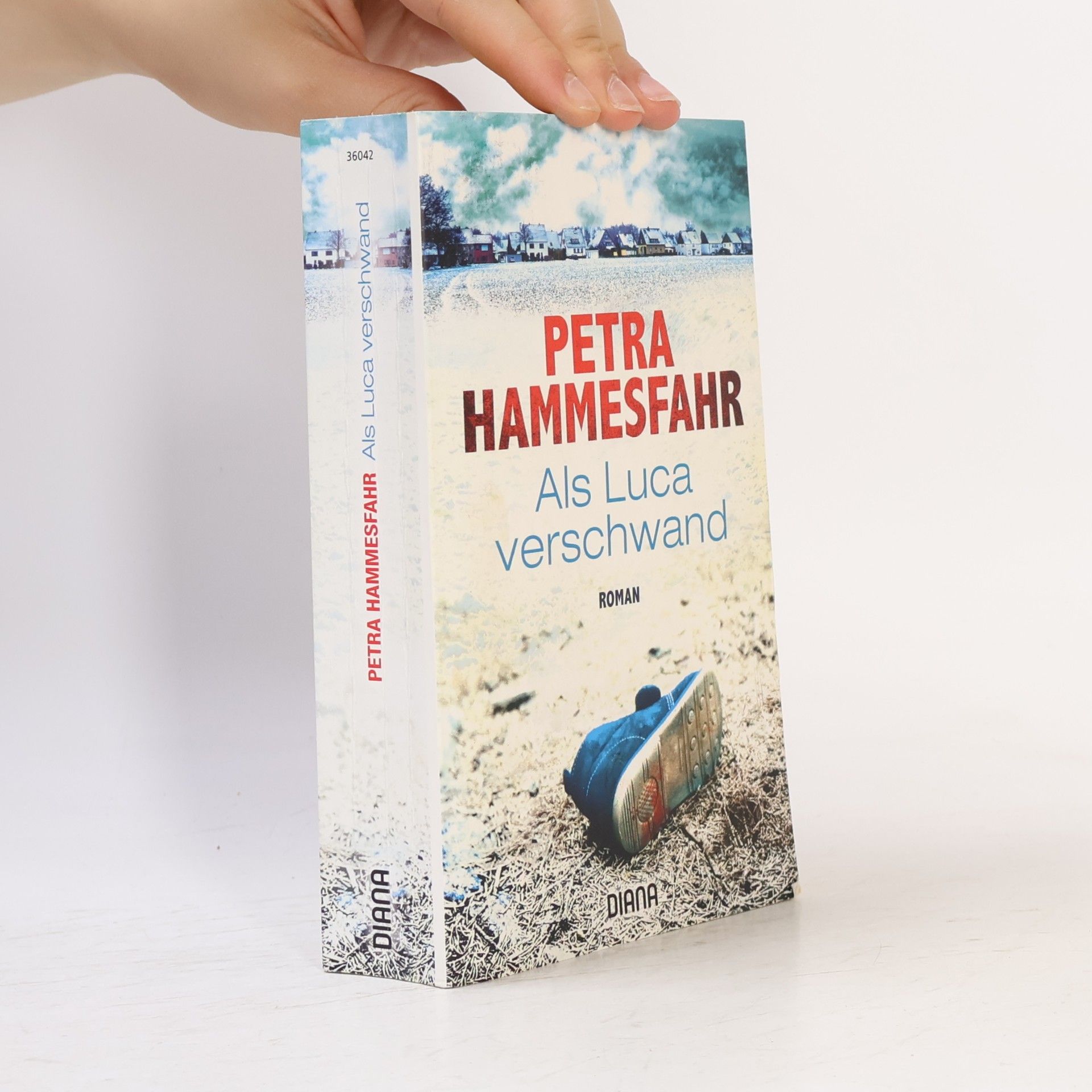 Petra Hammesfahr Als Luca verschwand