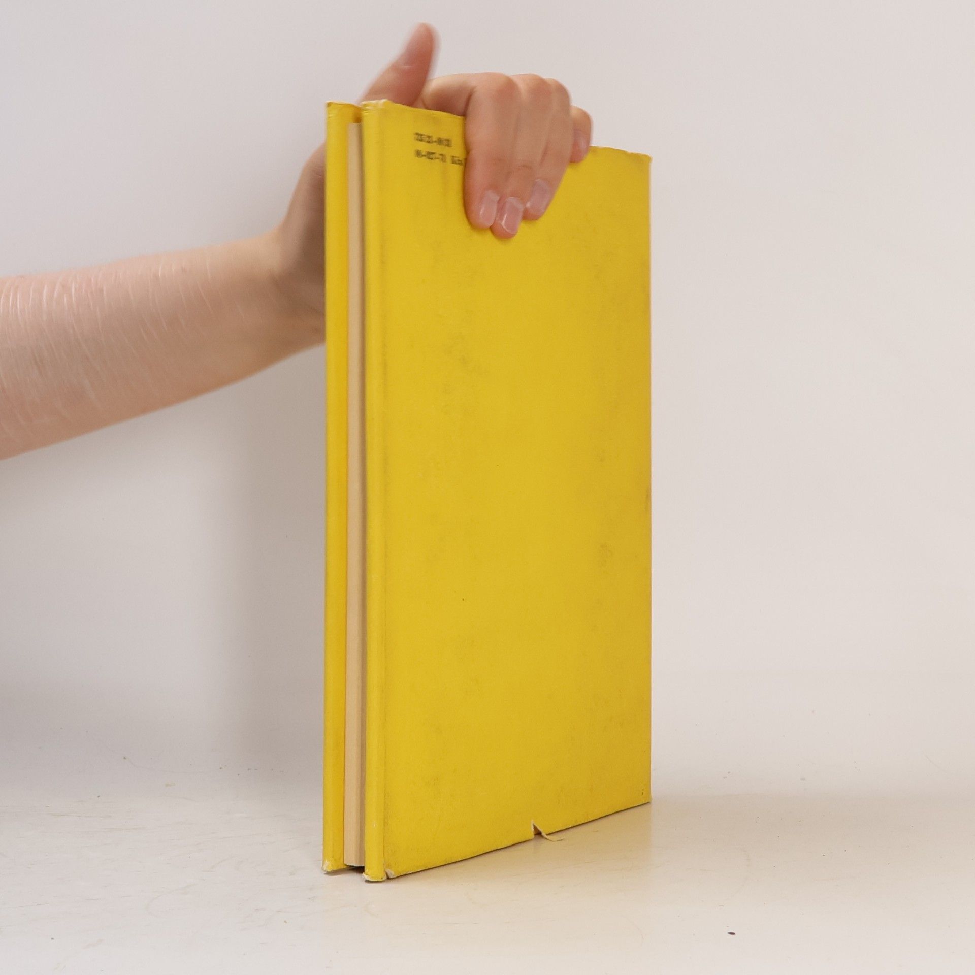 Collectif d'auteurs Jóga od staré Indie k dnešku