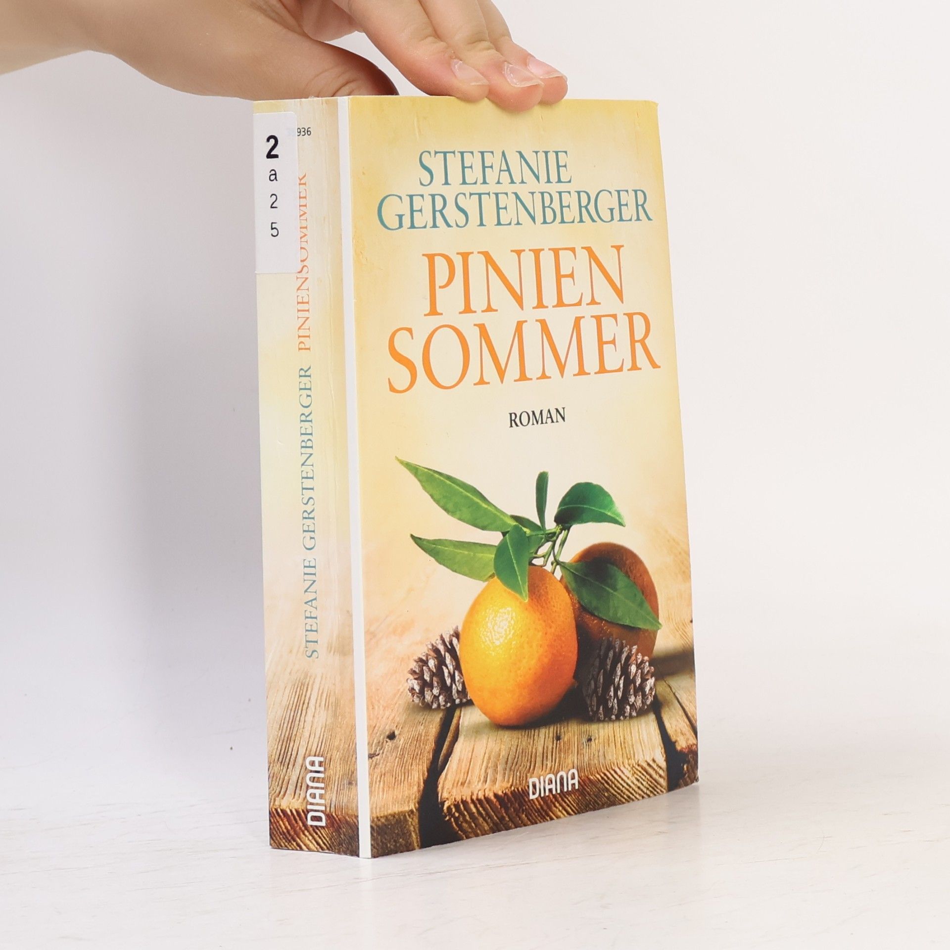 Stefanie Gerstenberger Piniensommer