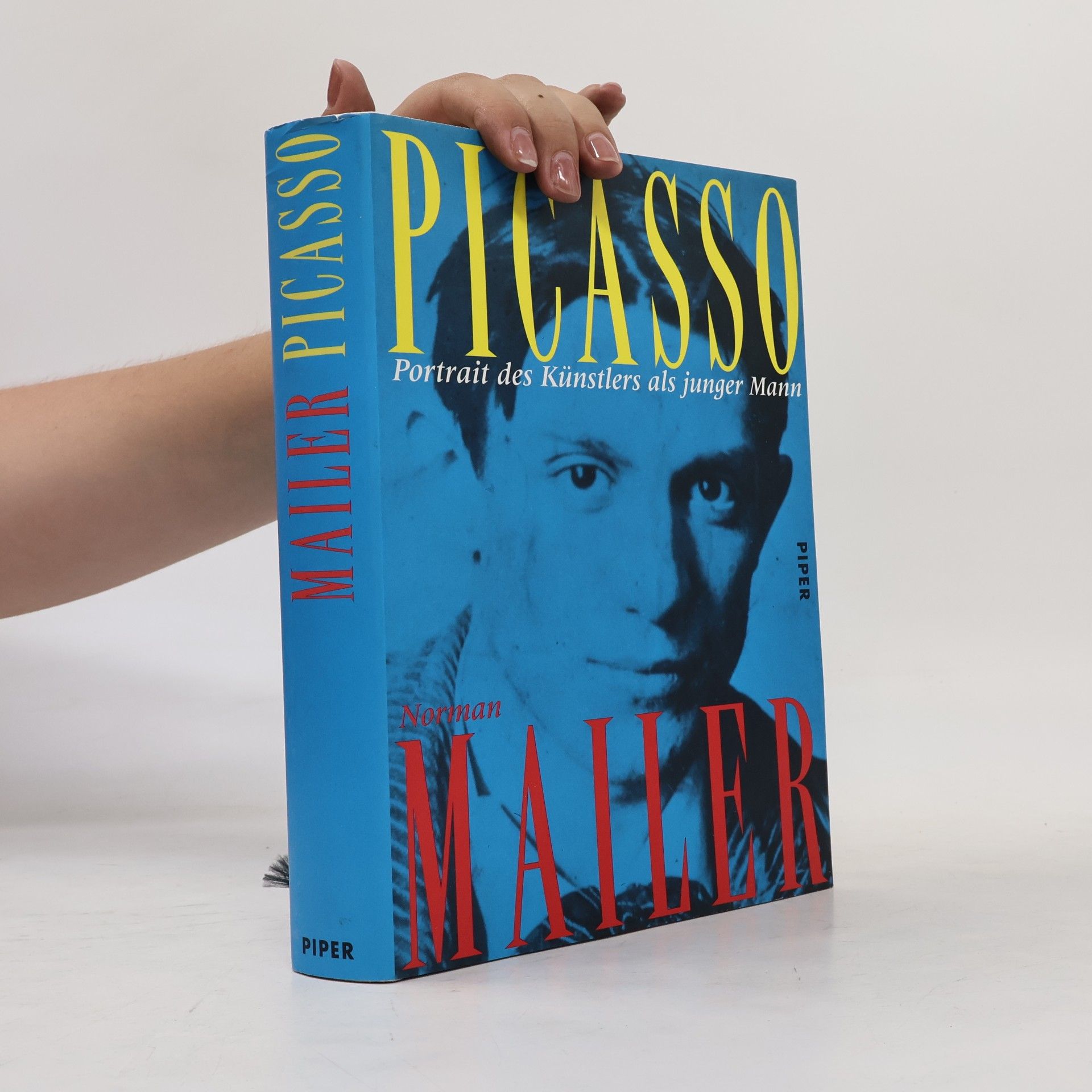 Norman Mailer Picasso