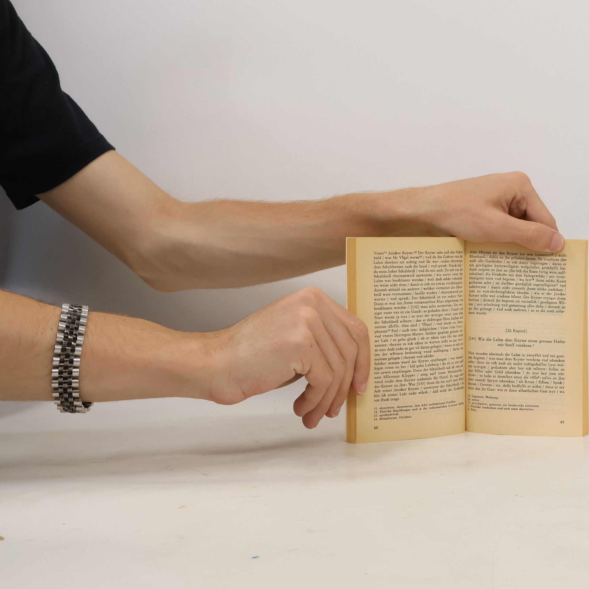 Stefan Ertz Reclams Universal-Bibliothek - 2: Das Lalebuch