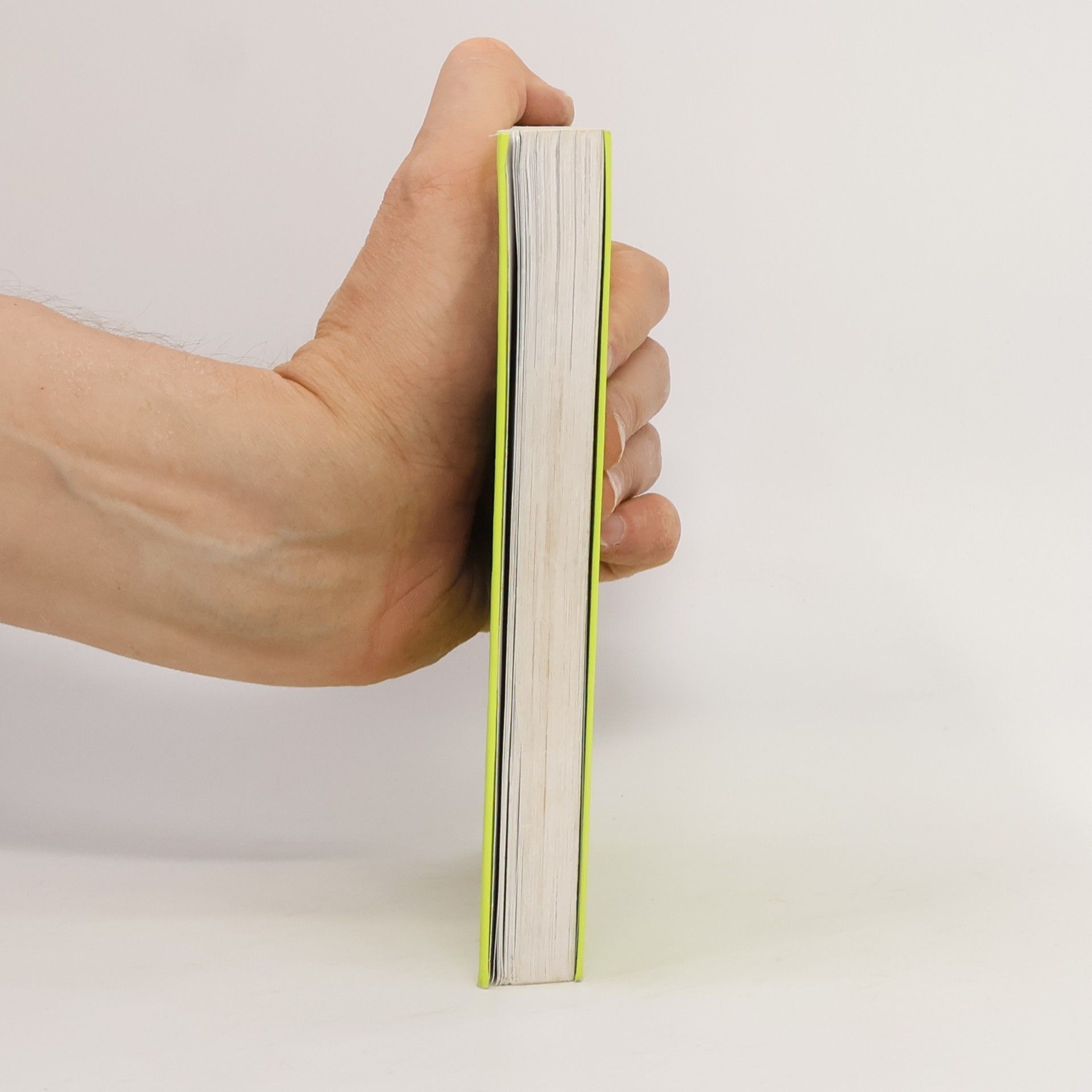 Stephen Chbosky Ten, kdo stojí v koutě
