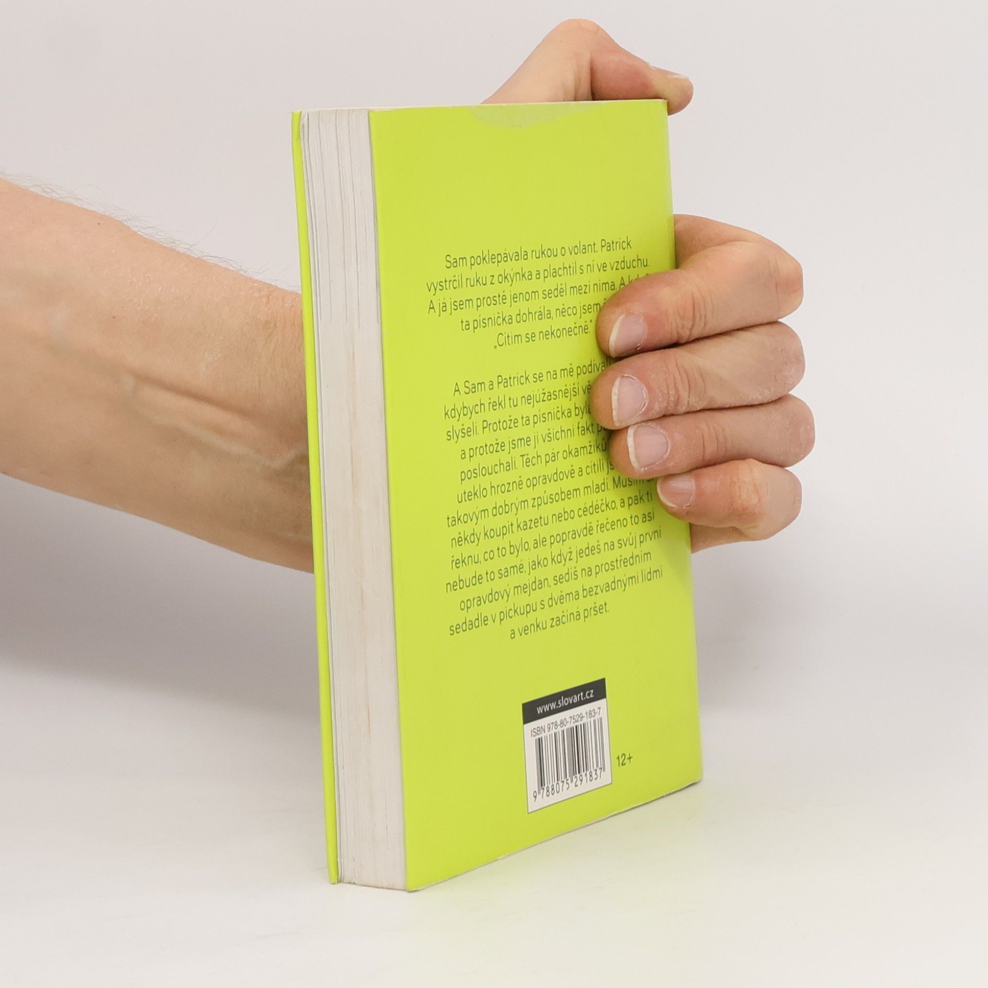 Stephen Chbosky Ten, kdo stojí v koutě