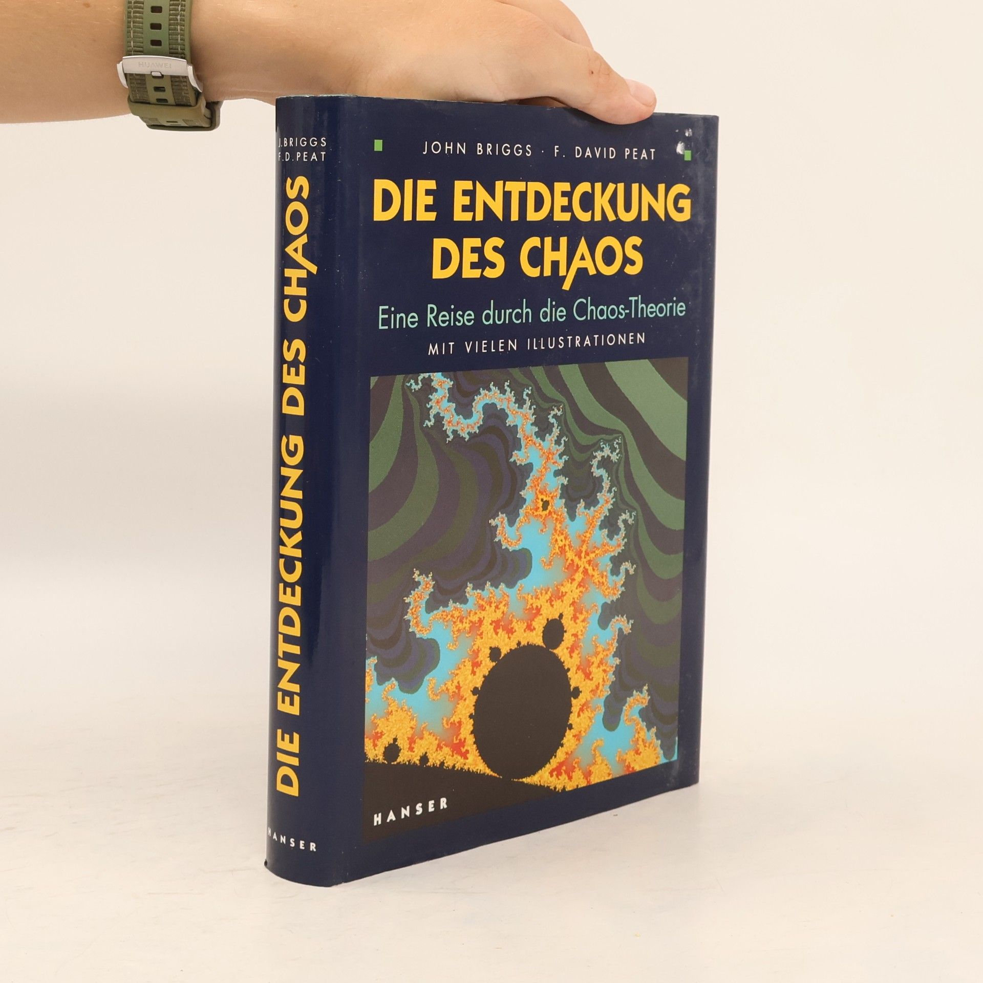 John P. Briggs Die Entdeckung des Chaos