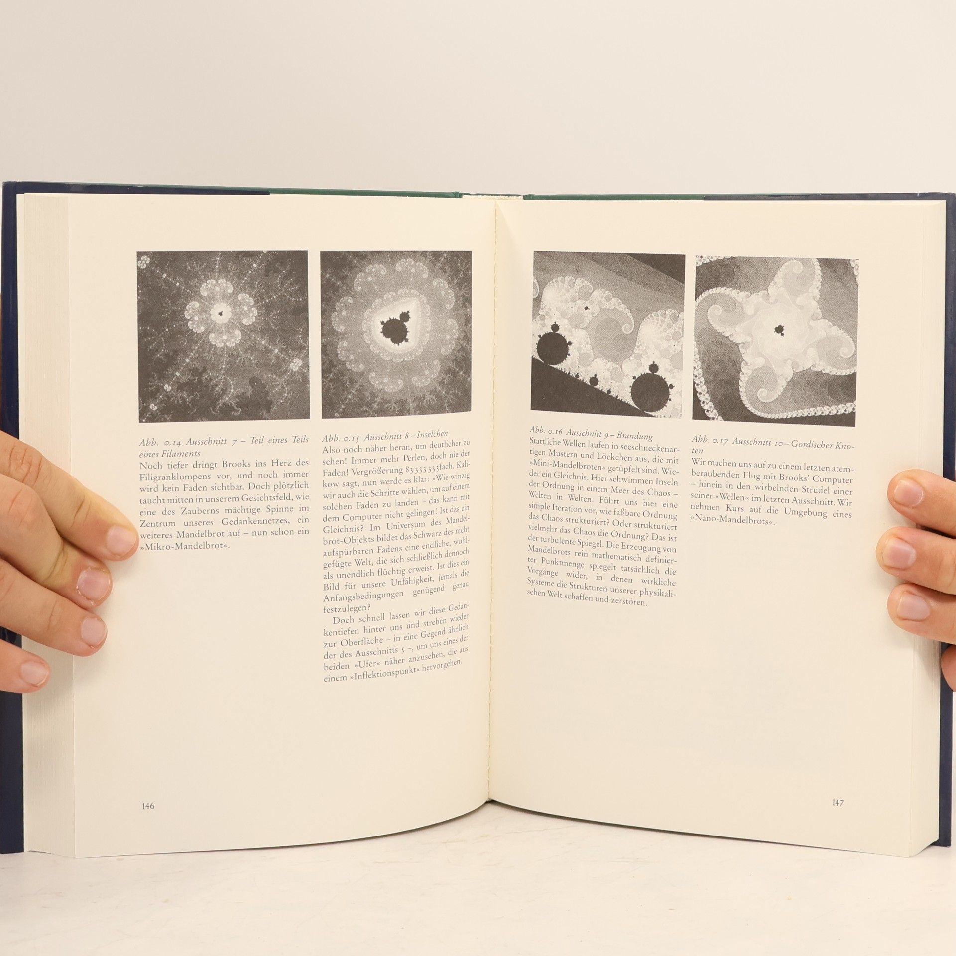 Francis David Peat Die Entdeckung des Chaos