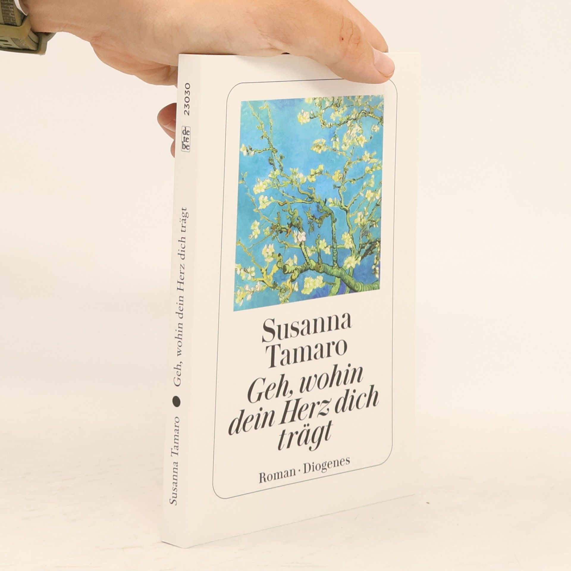 Susanna Tamarová Geh, wohin dein Herz dich trägt