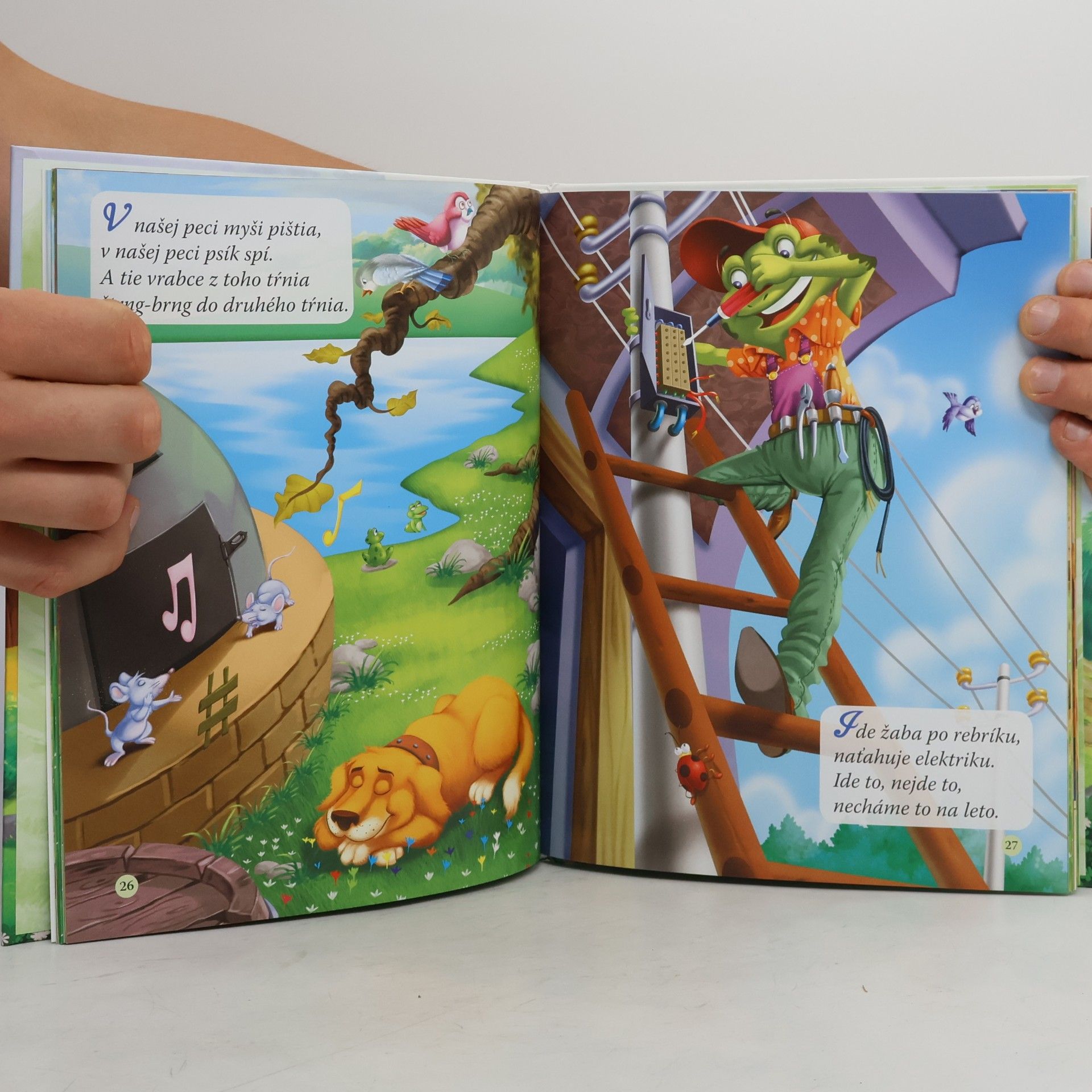 Autorenkollektiv Slovenské riekanky, básničky, uspávanky