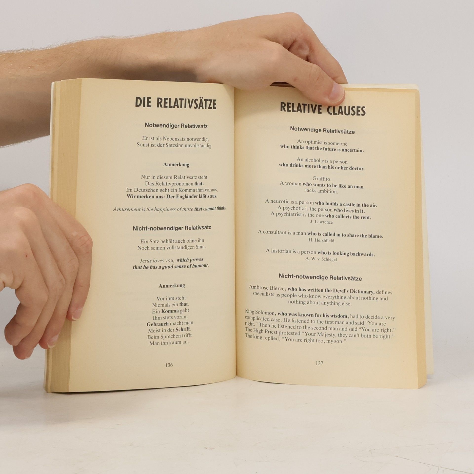 René Bosewitz Joke your way through English grammar