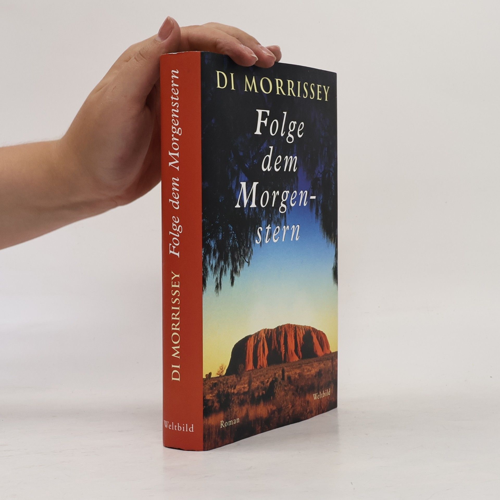 Di Morrissey Folge dem Morgenstern