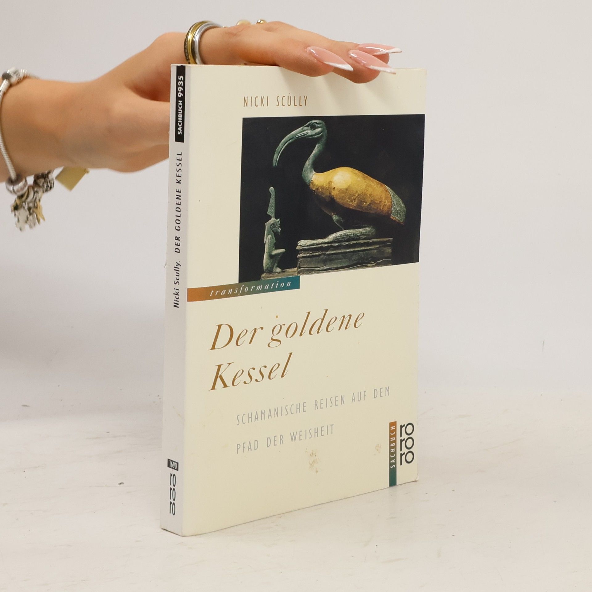 Der goldene Kessel