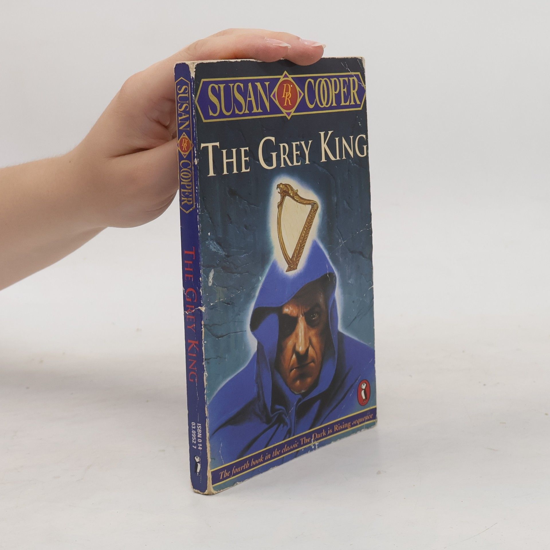 The Dark Is Rising Sequence - 4: The Grey King