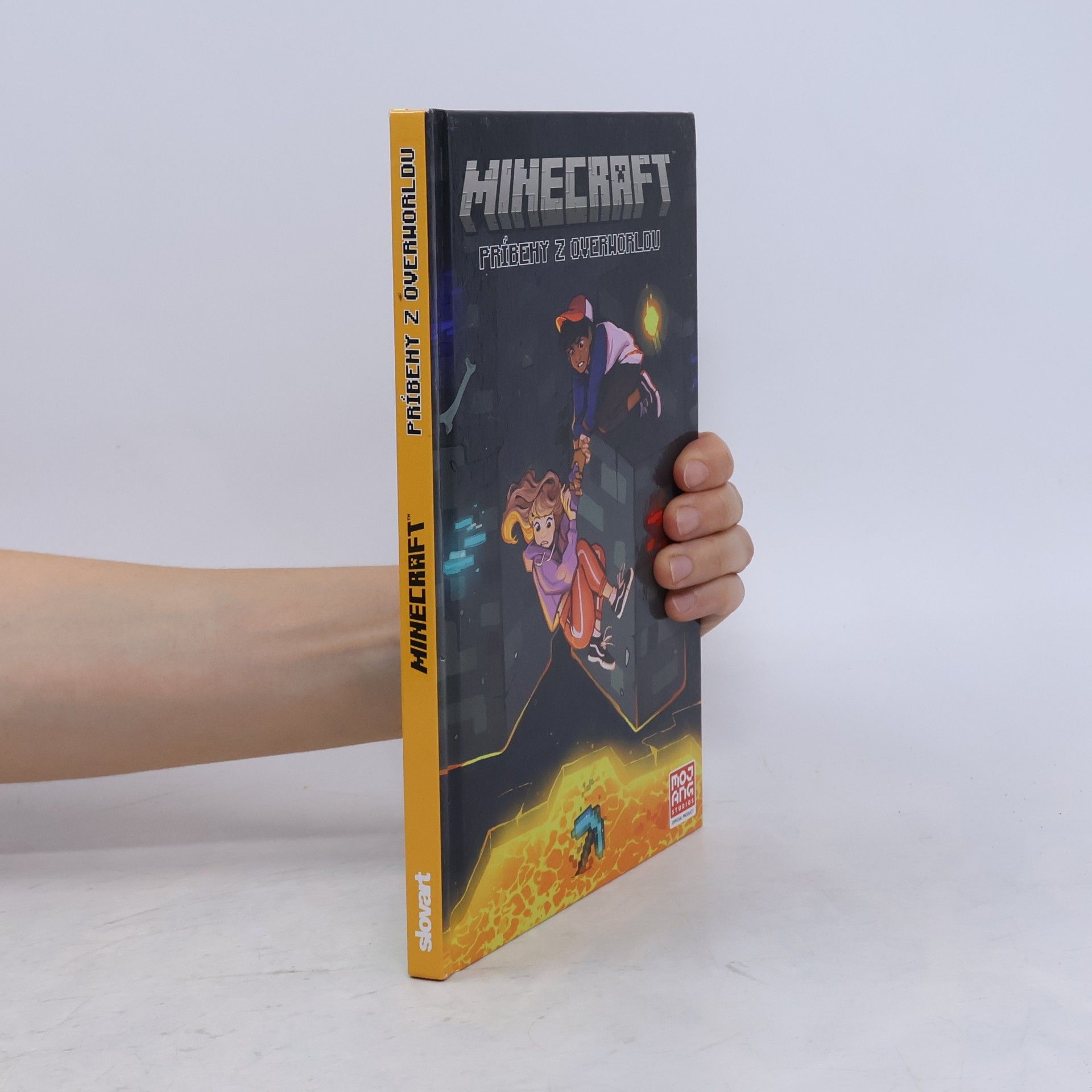 Ian Flynn Minecraft: Príbehy z Overworldu