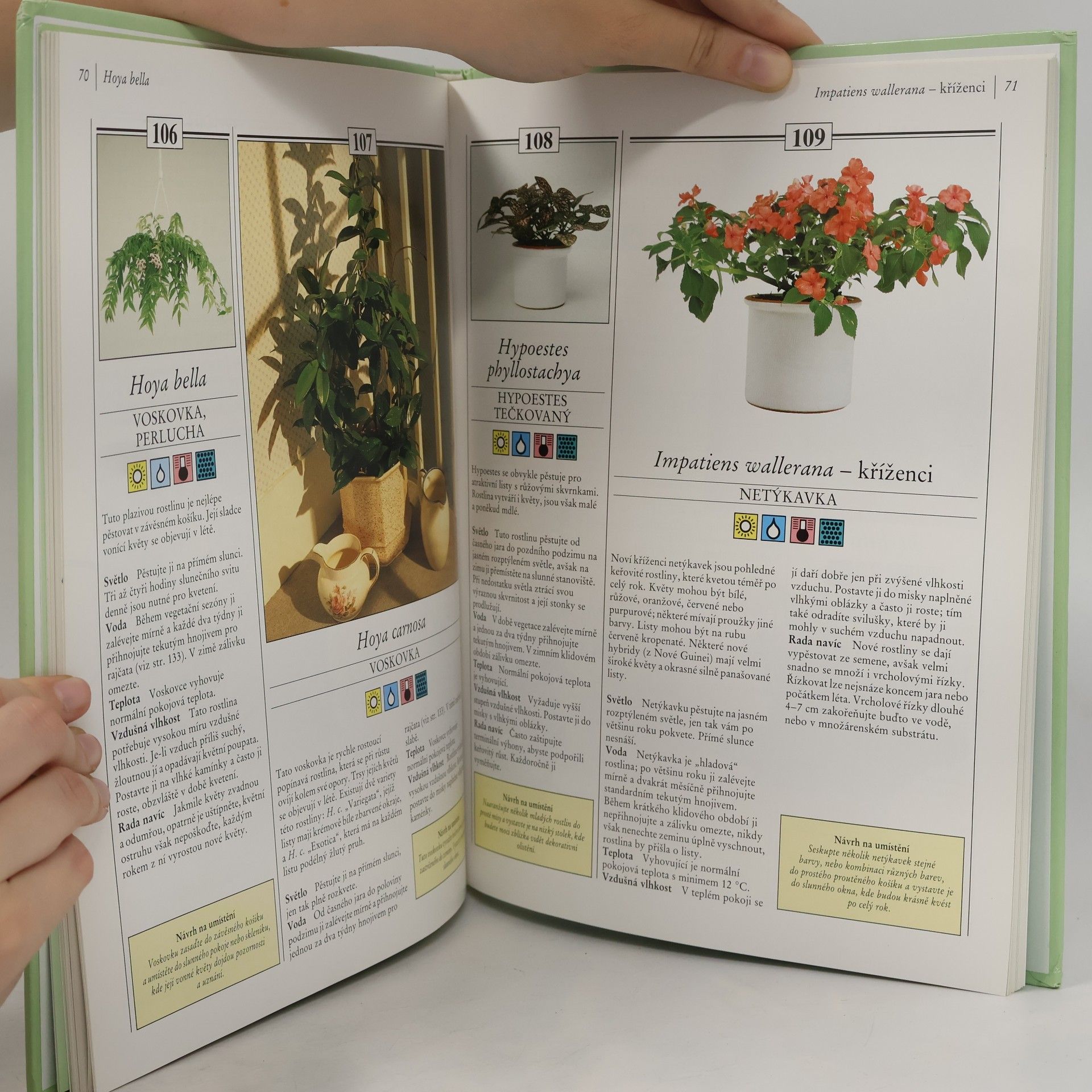 Richard Gilbert 200 pokojových rostlin pro každého