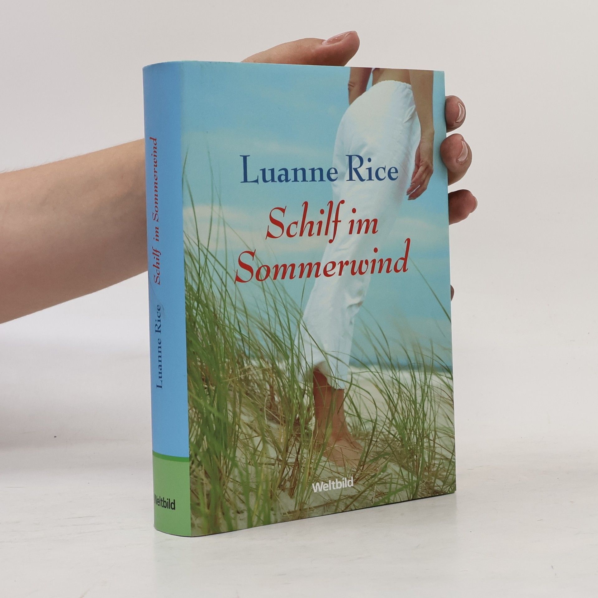 Luanne Rice Schilf im Sommerwind