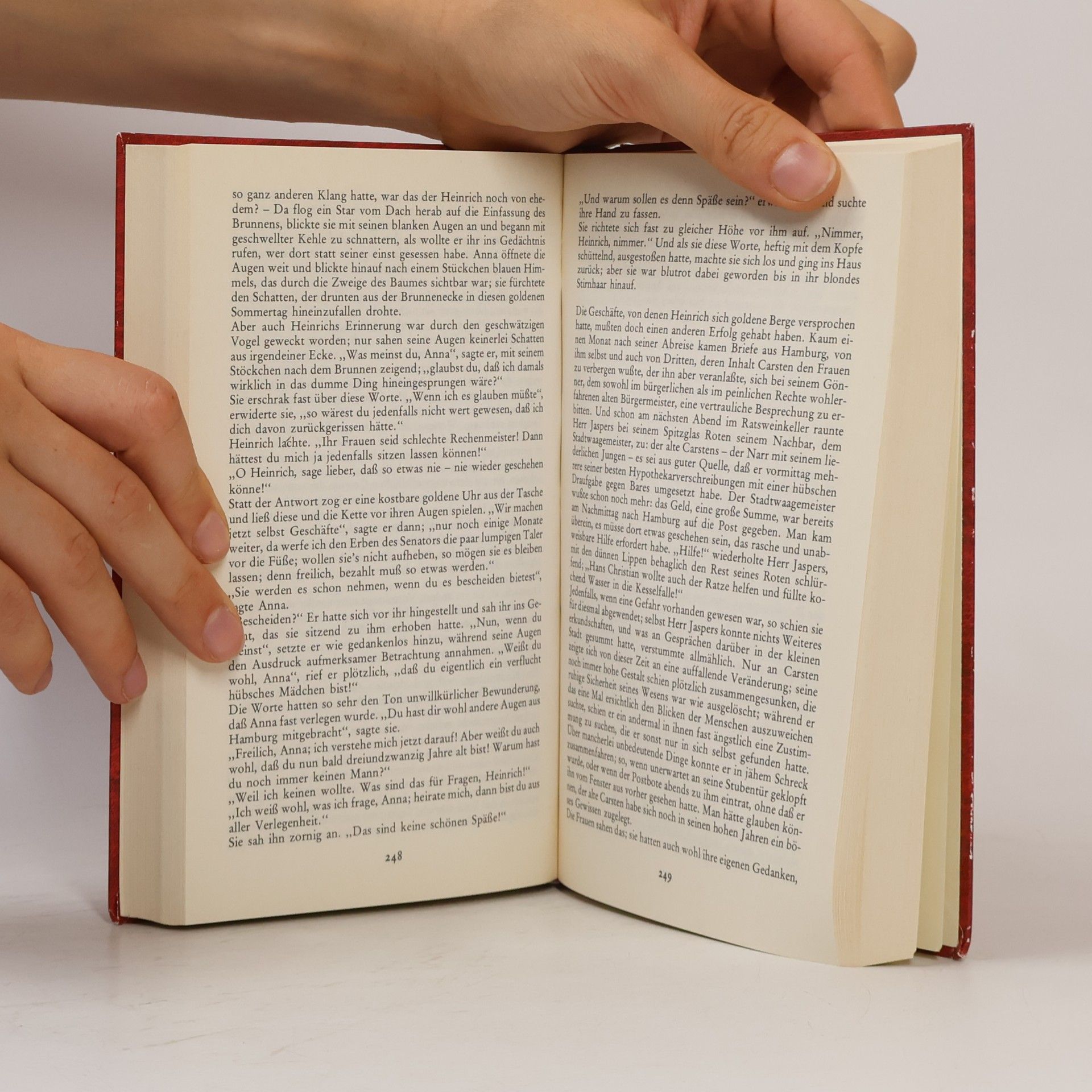 Theodor Storm Novellen Gedichte