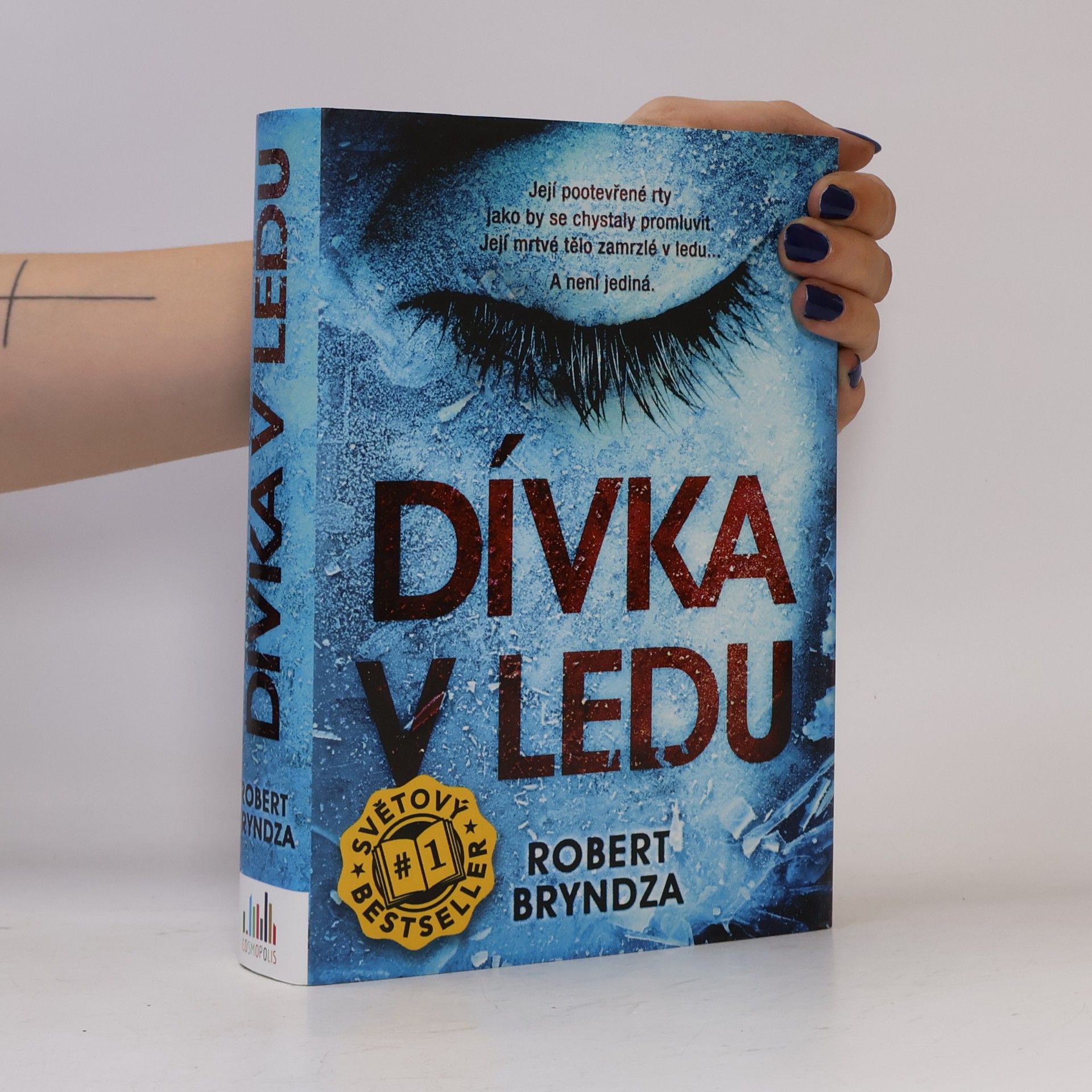 Robert Bryndza Dívka v ledu